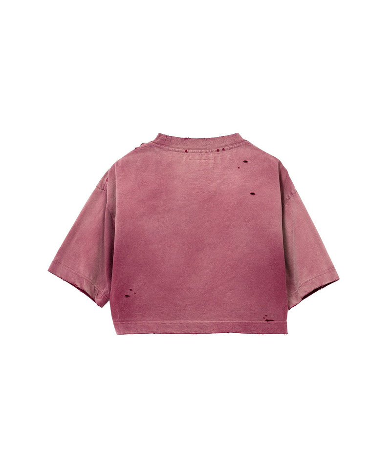 Sun Faded Like Crop T-shirt 24