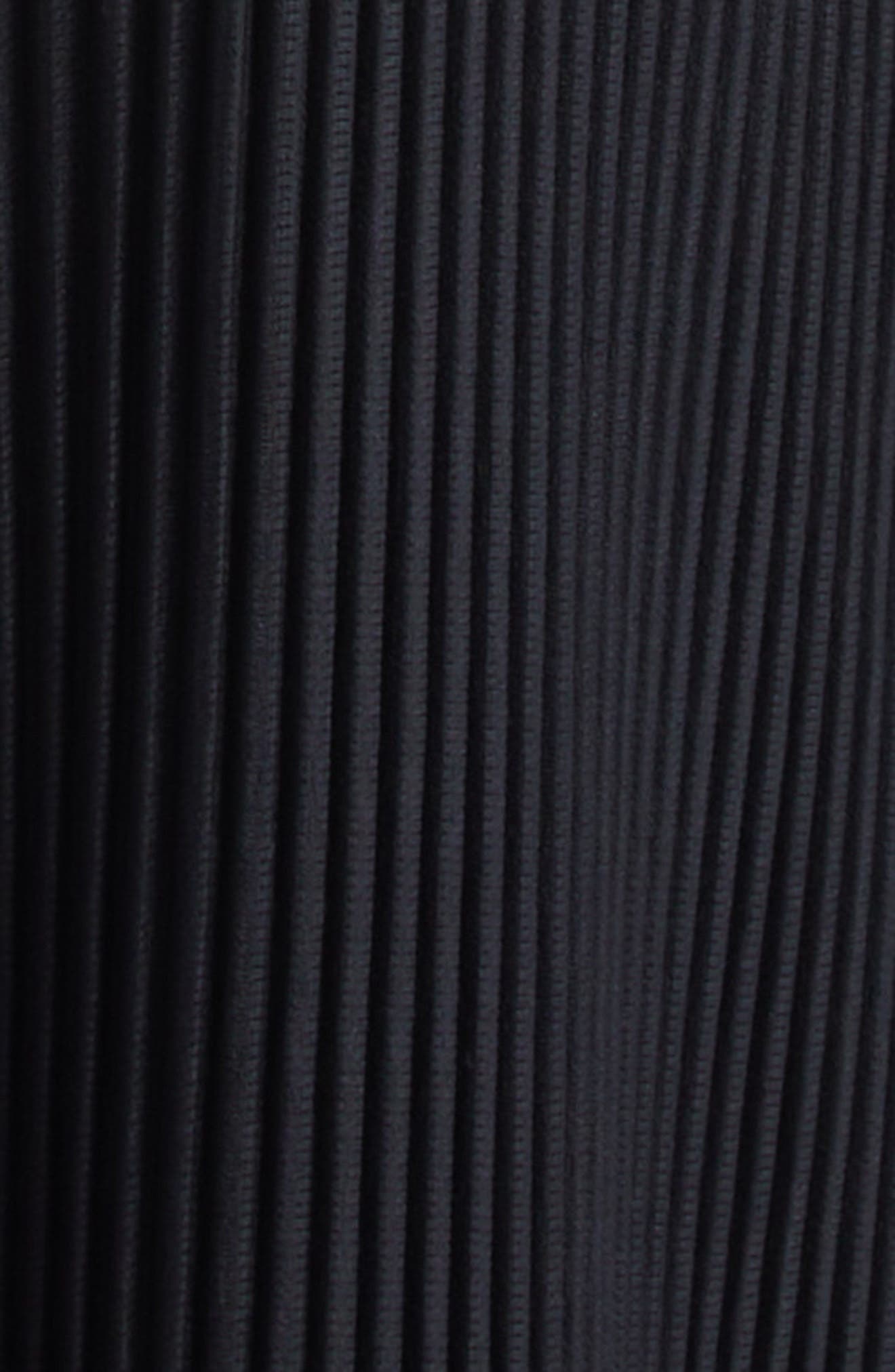 Homme Plissé Issey Miyake Monthly Colors May Pleated Wide Leg Pants in Black at Nordstrom - 7