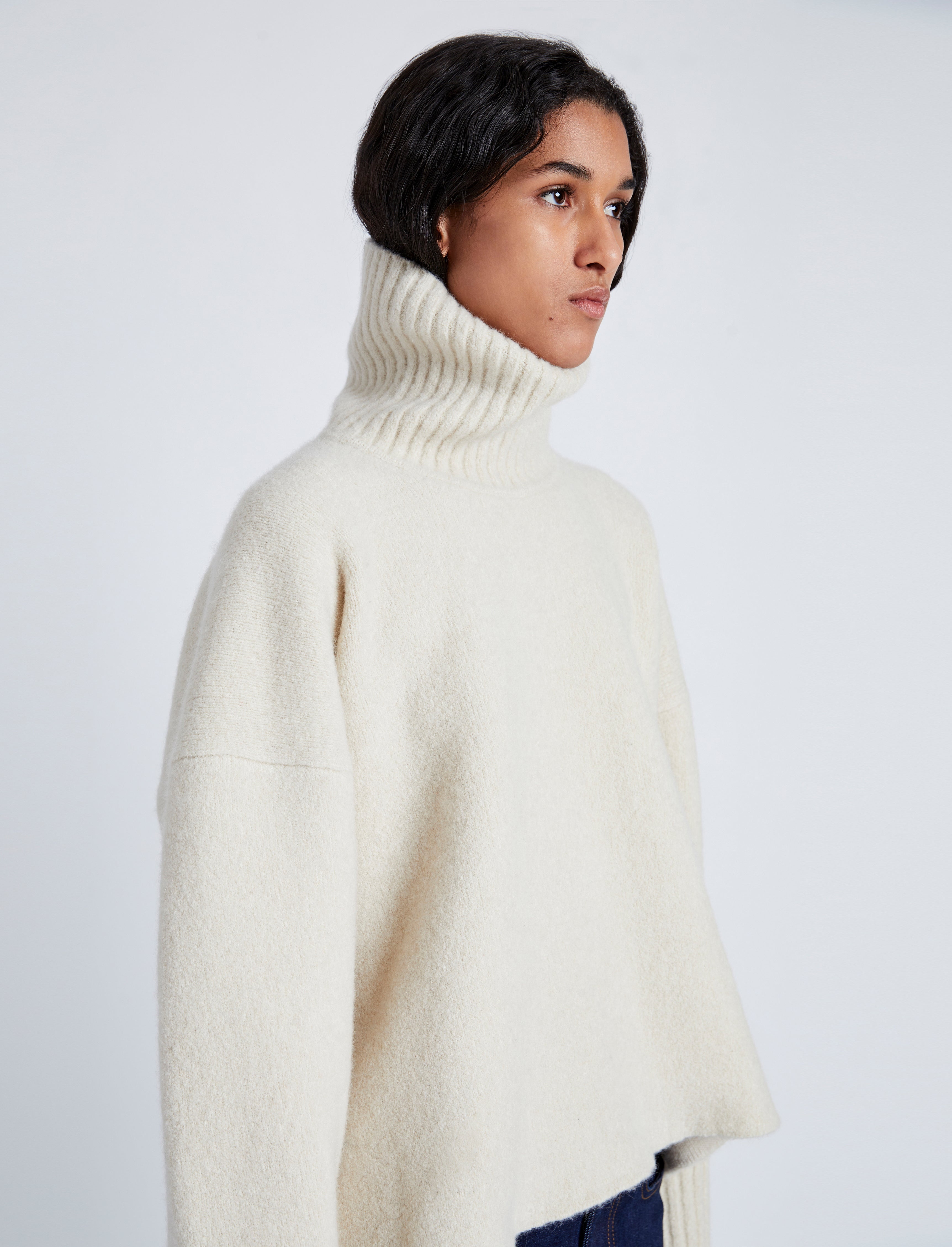 Sandra Turtleneck Sweater in Lofty Eco Cashmere - 6