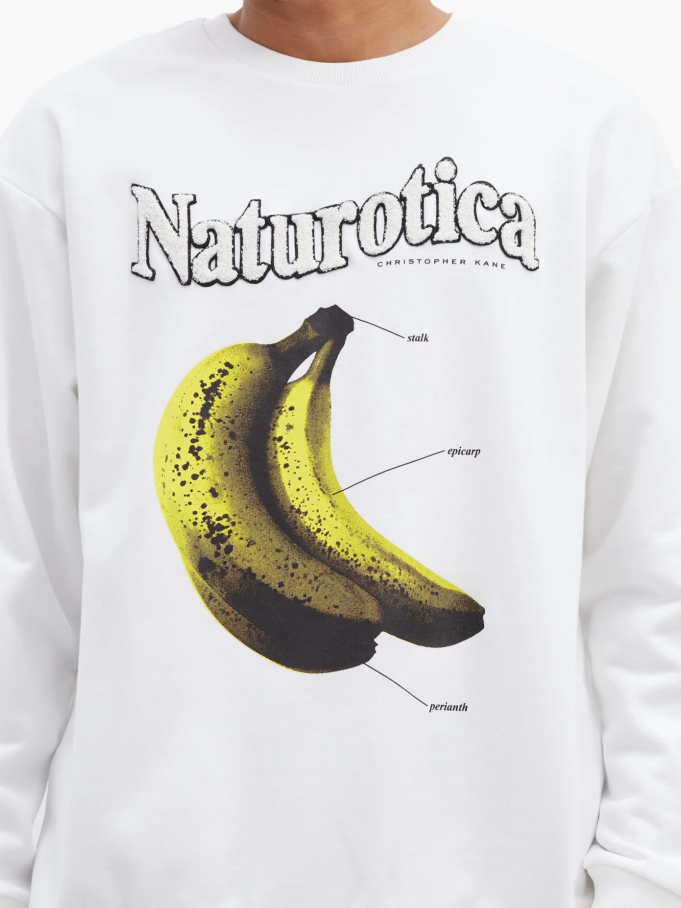 Naturotica banana-print cotton-jersey sweatshirt - 3