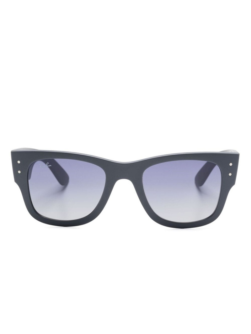 Mega Wayfarer Liteforce sunglasses 1