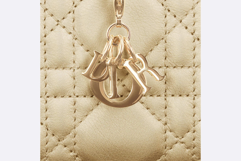 Small Dior Or Lady Dior Voyageur Coin Purse 5