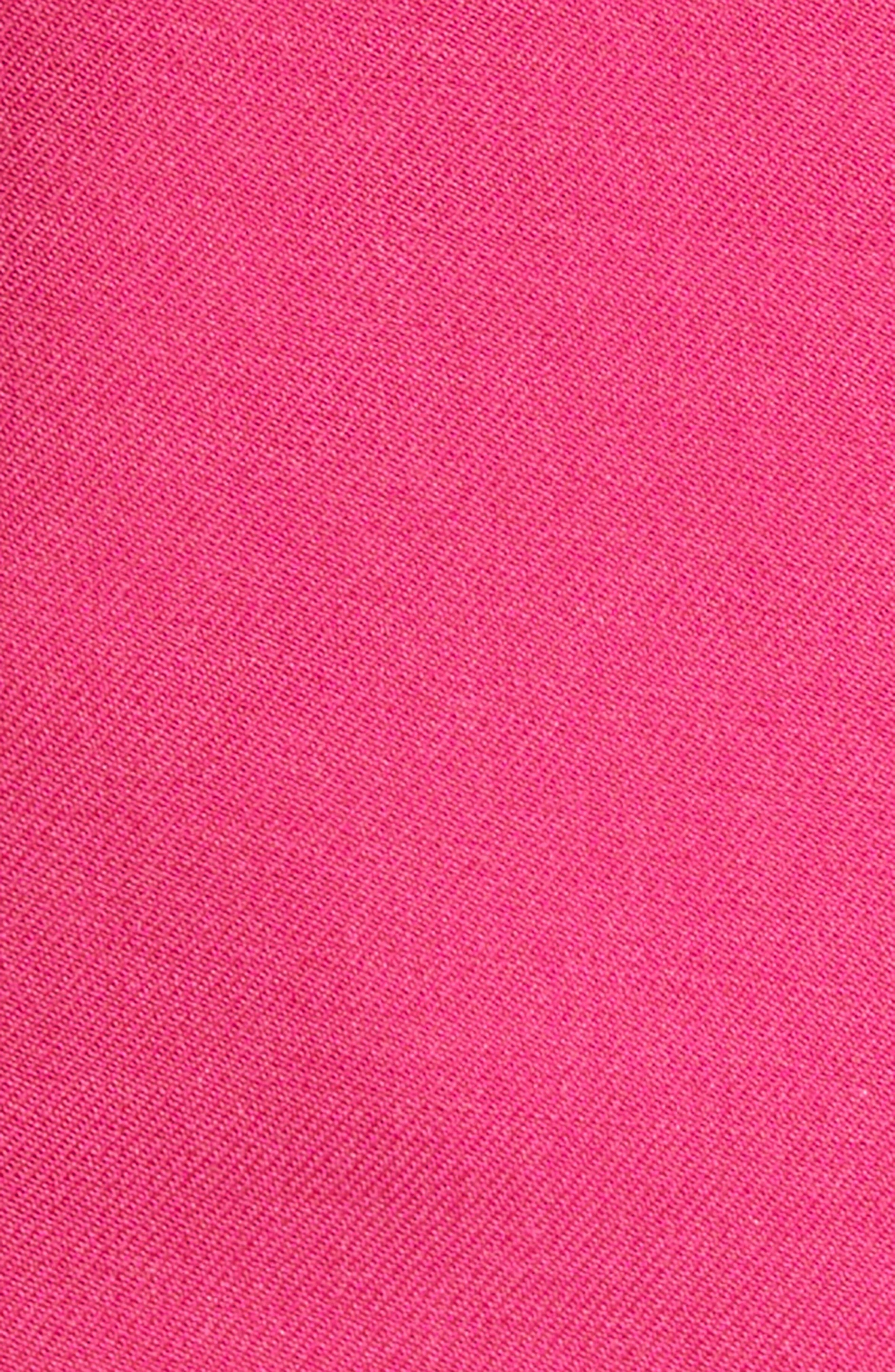 Dries Van Noten Wool & Mohair Straight Leg Pants in Fuchsia at Nordstrom - 6