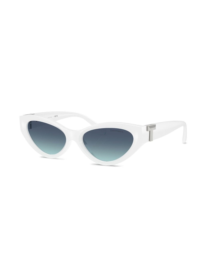 Tiffany & Co. Tiffany & Co. TF4225U outlook