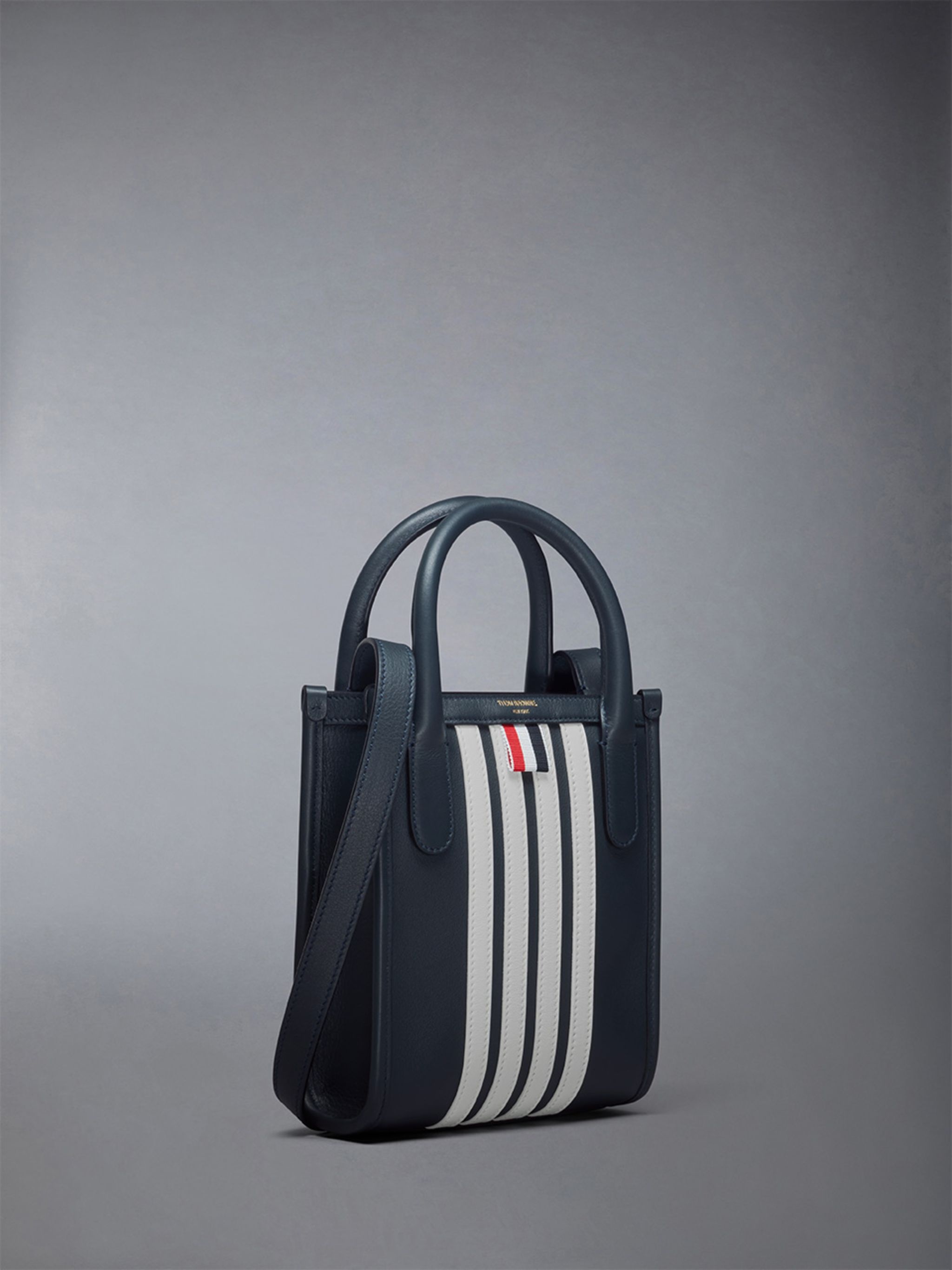 Vertical Mini Tote W/ 4 Bar Stripes in Smooth Calf - 2
