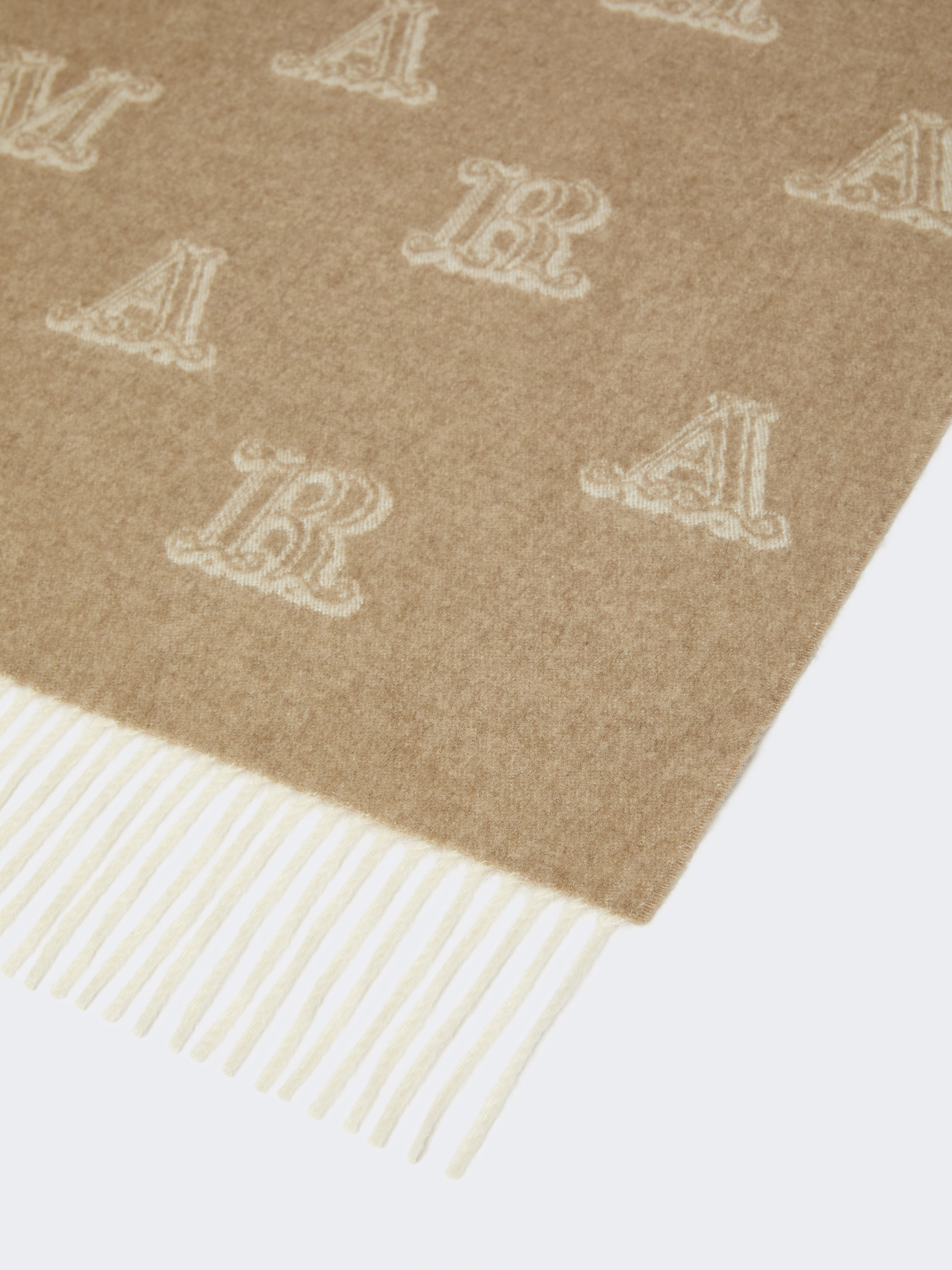WSKLAUSE Jacquard cashmere stole - 2