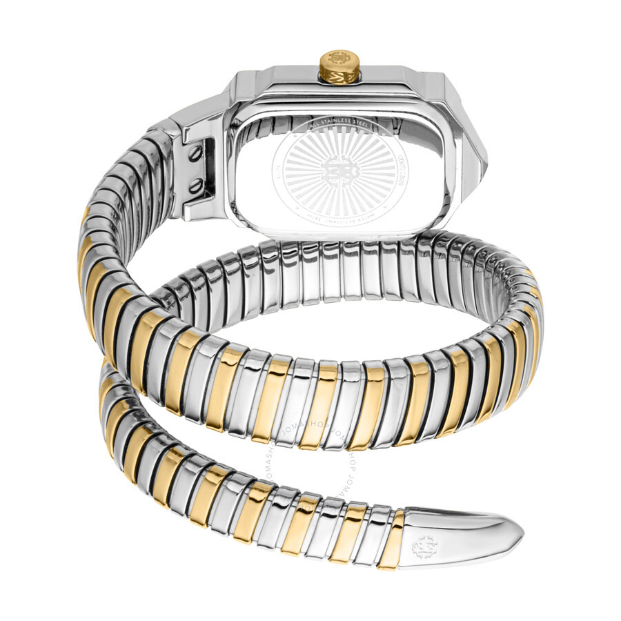 Roberto Cavalli Vera Silver-tone Dial Ladies Watch RC5L115M0065 - 2