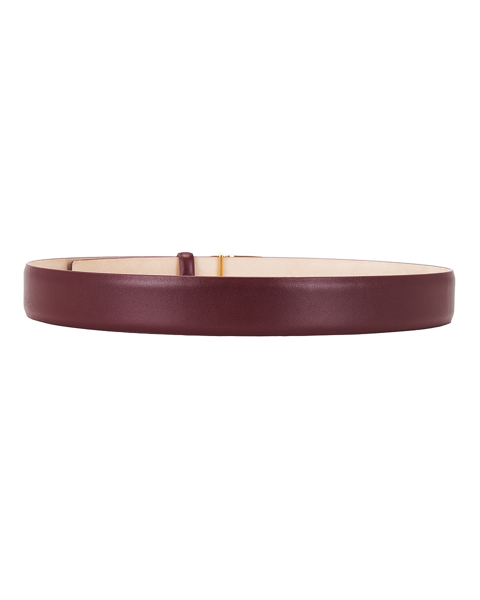 Saddle Gold Belt - 2