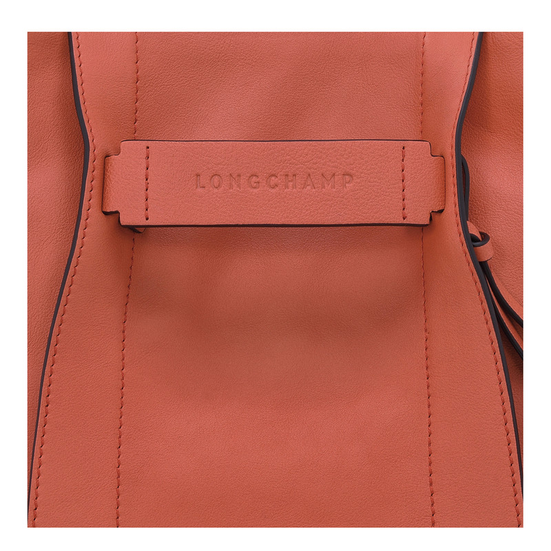Longchamp 3D S Crossbody bag Sienna - Leather 6
