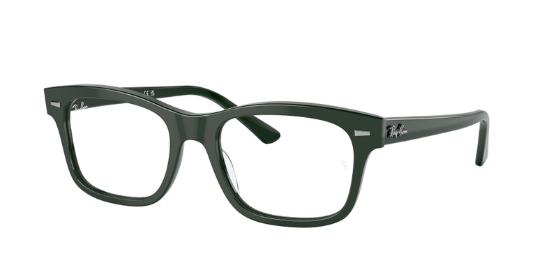 RB5387 OPTICS 3