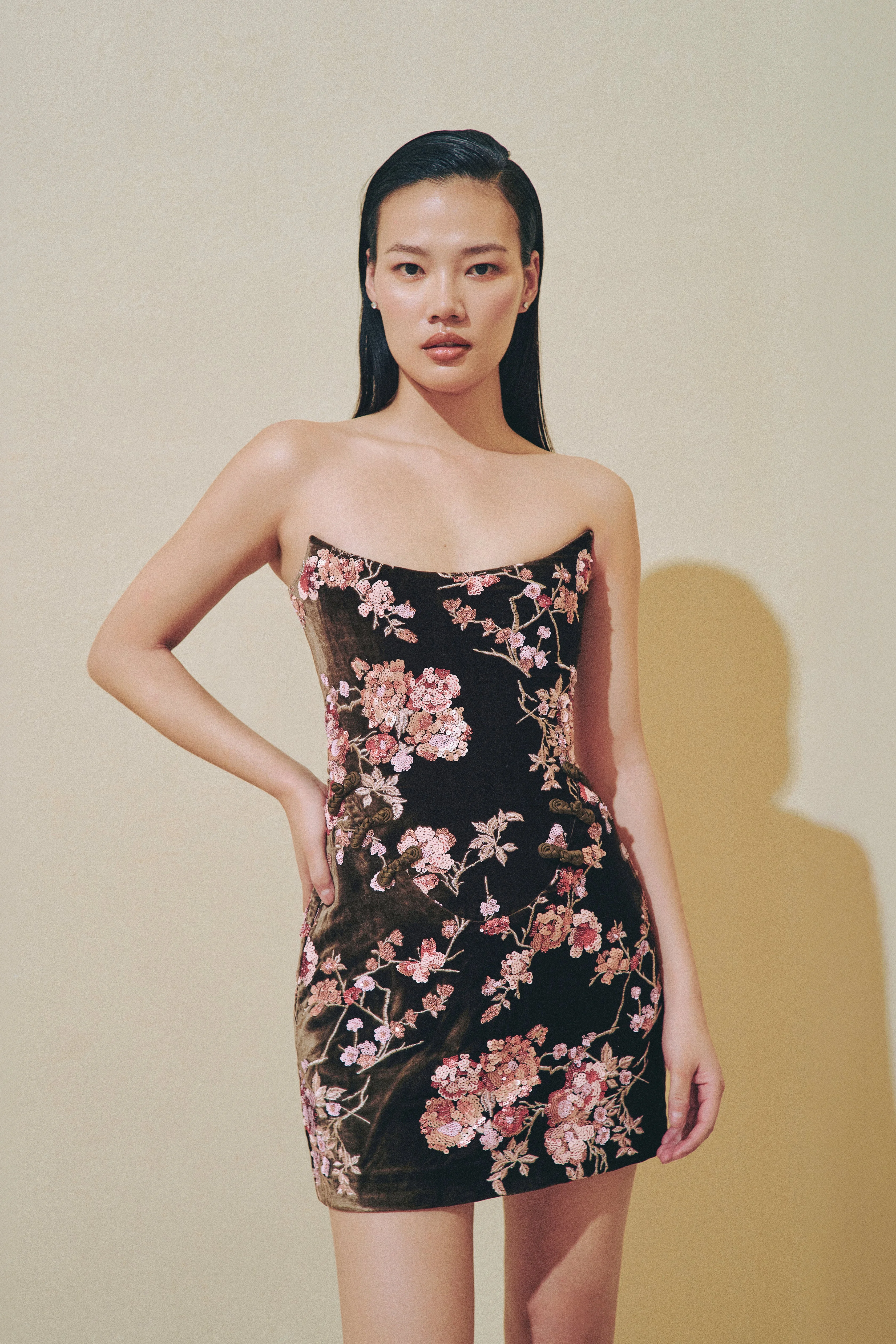 ANNA EMBROIDERED MINI DRESS - 1