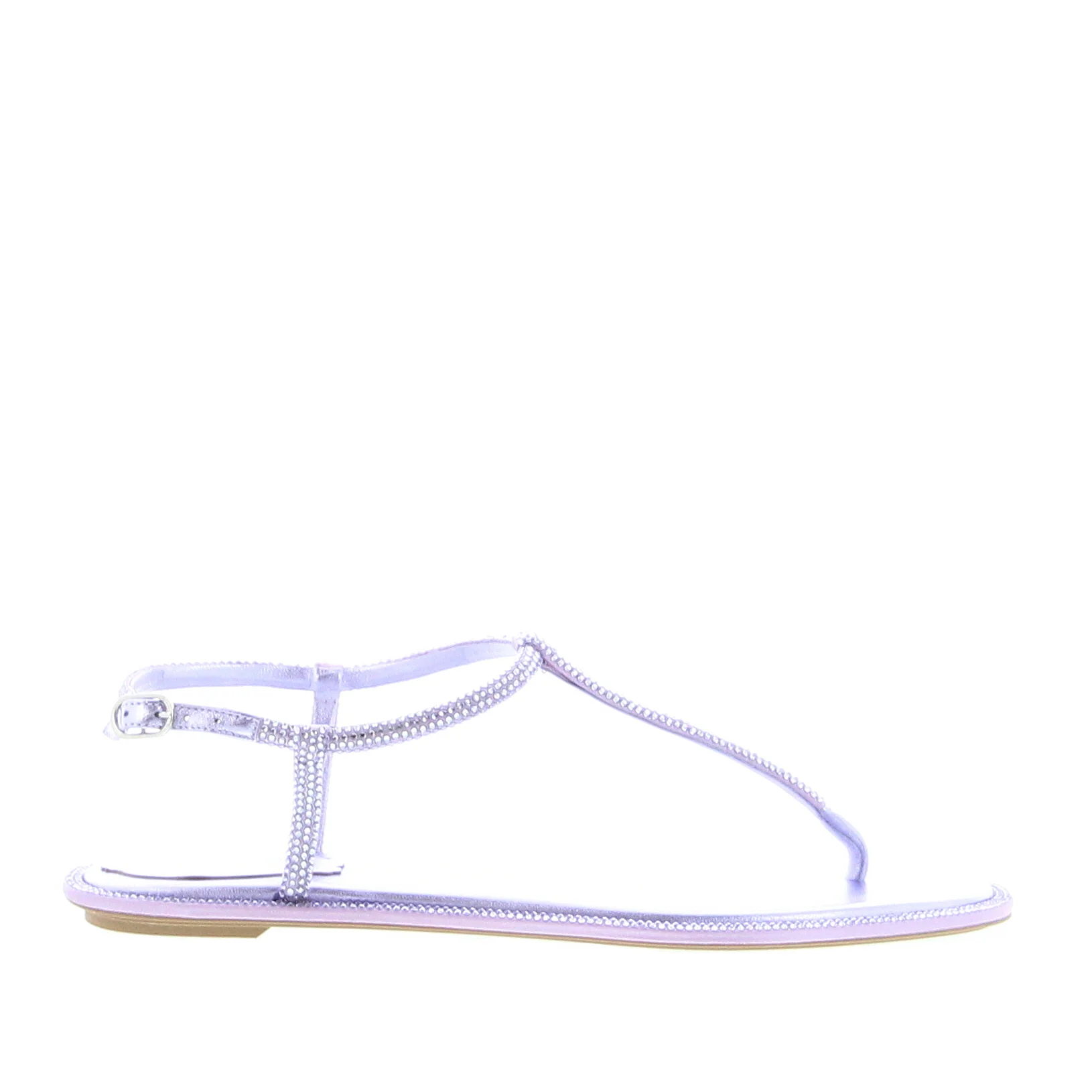 Rene Caovilla – Diana Sandal – Violet - 1