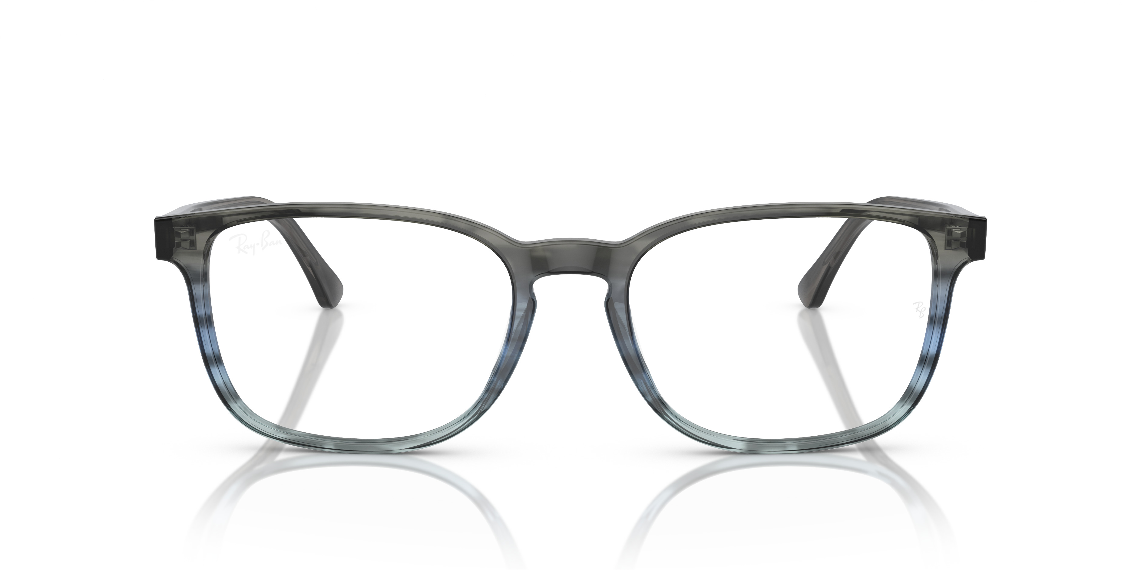 RB5418 OPTICS - 4