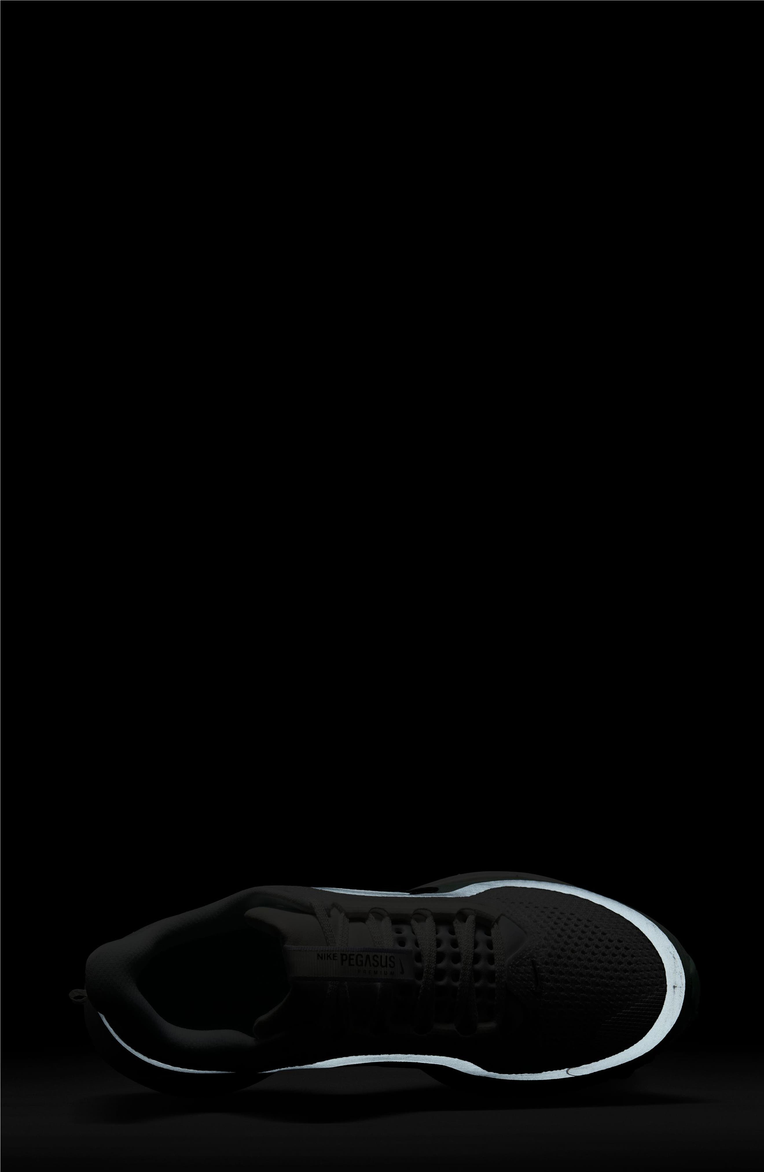 Nike Pegasus Premium Running Shoe in White/Silver/Mint at Nordstrom - 7