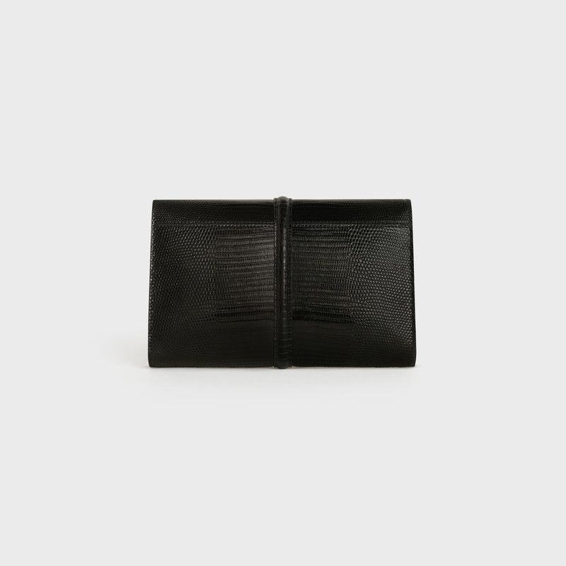 16 CLUTCH  IN  LIZARD 3