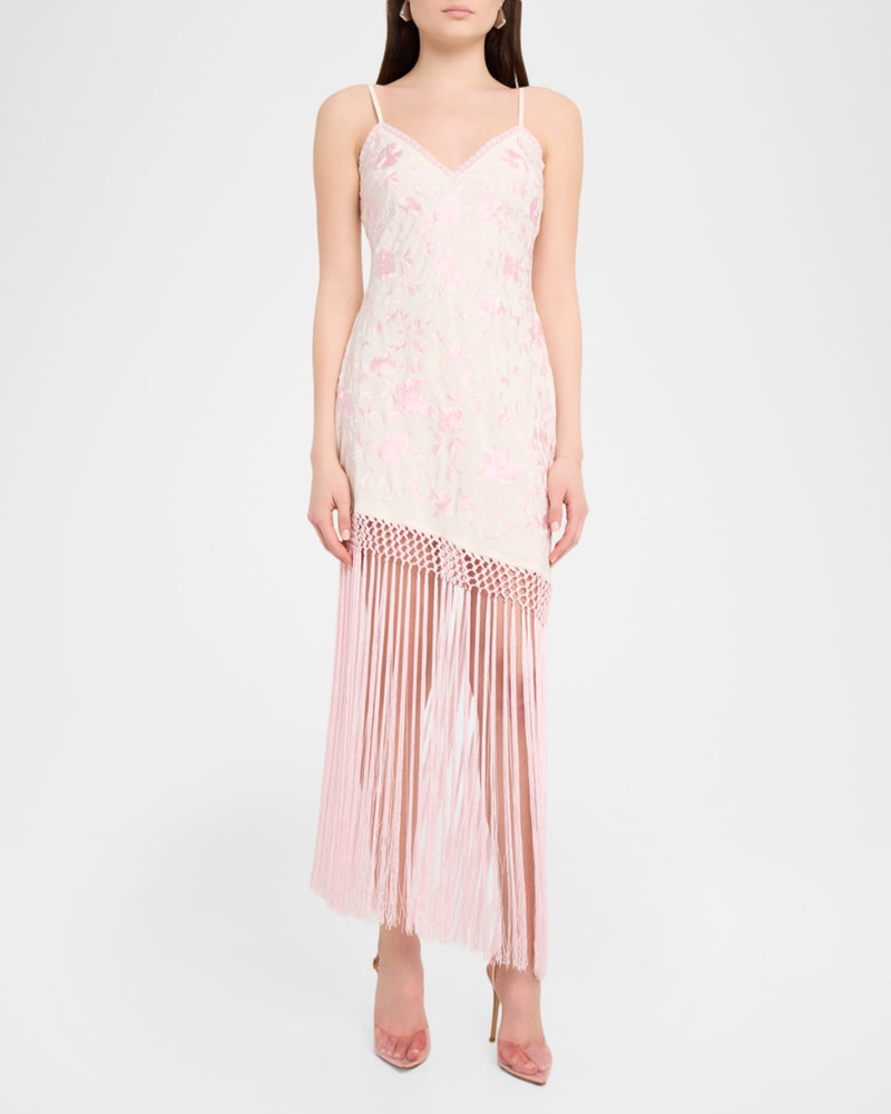 LoveShackFancy Evalette Floral-Embroidered Asymmetric Fringe Dress outlook