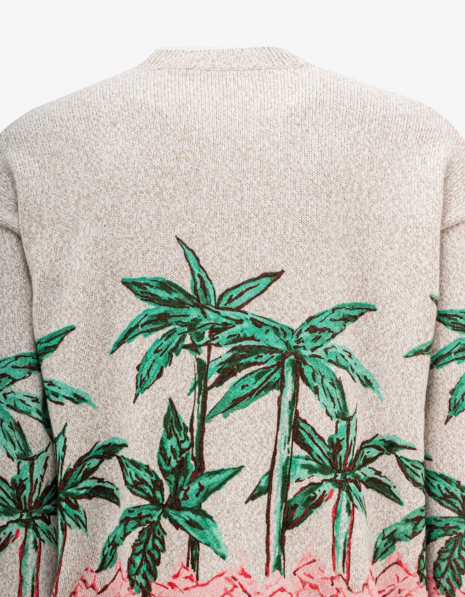 Palm Angels Cream Palms Row Printed Sweater - 4