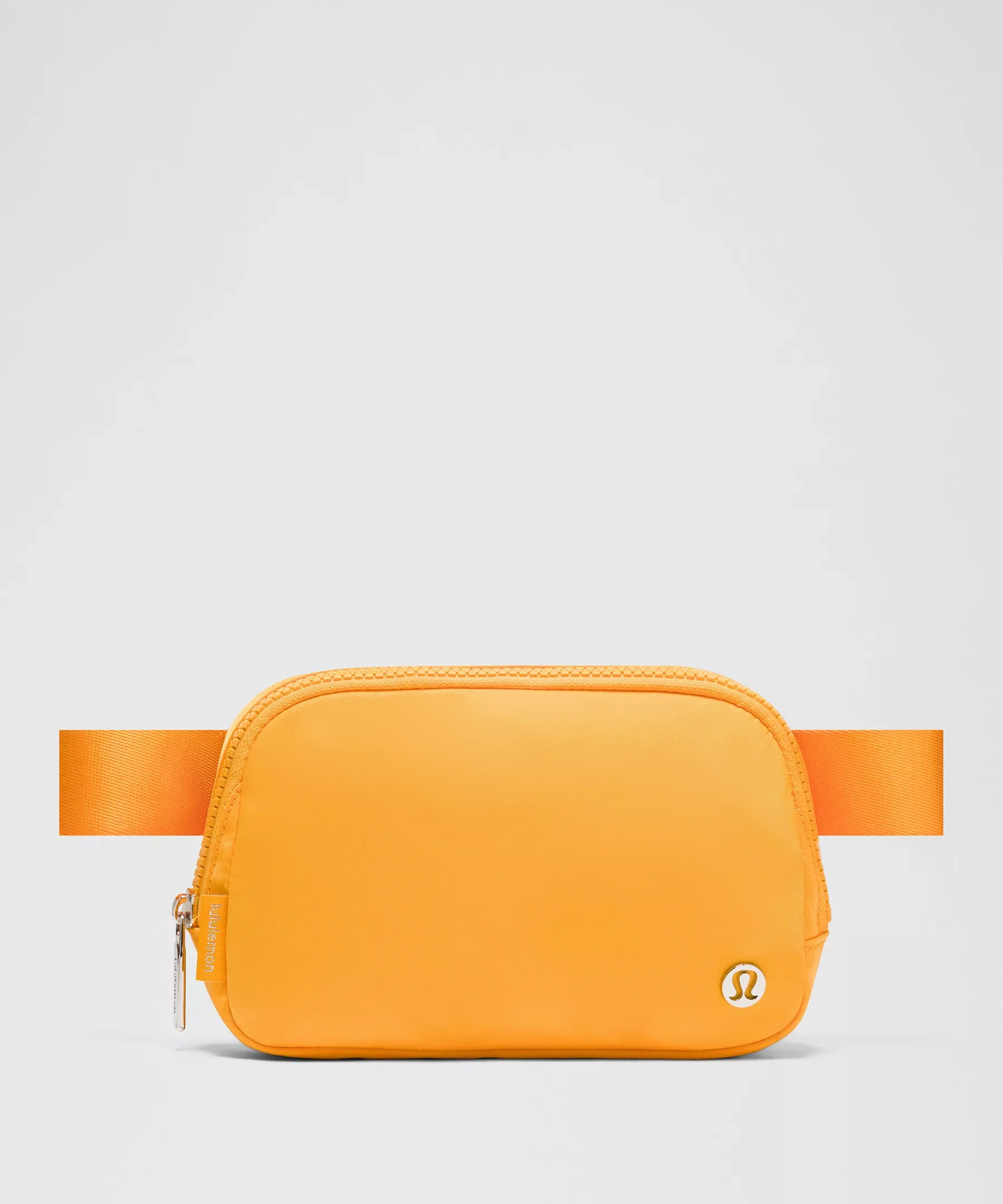 Everywhere Belt Bag 1L - 1