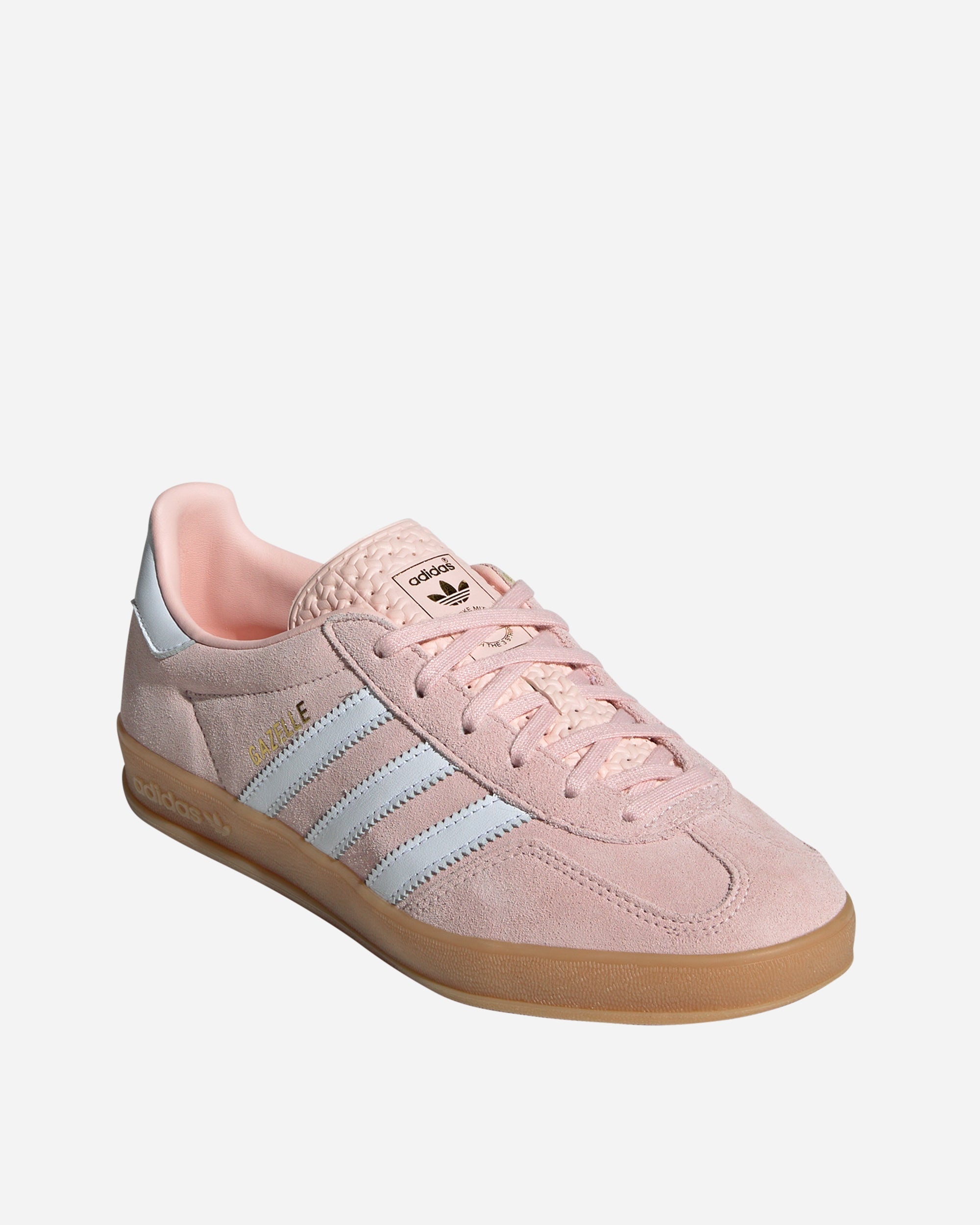 Gazelle Indoor - 3