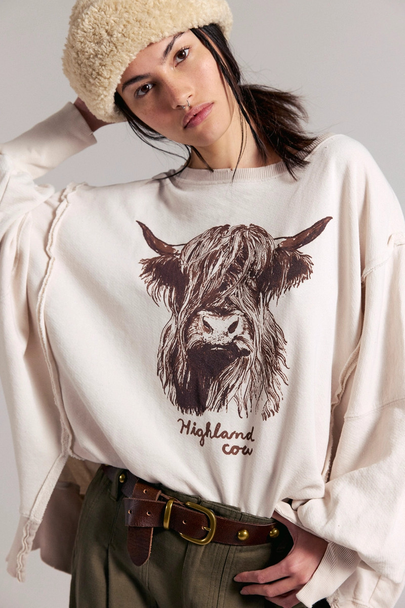 We The Free Graphic Camden Pullover 4