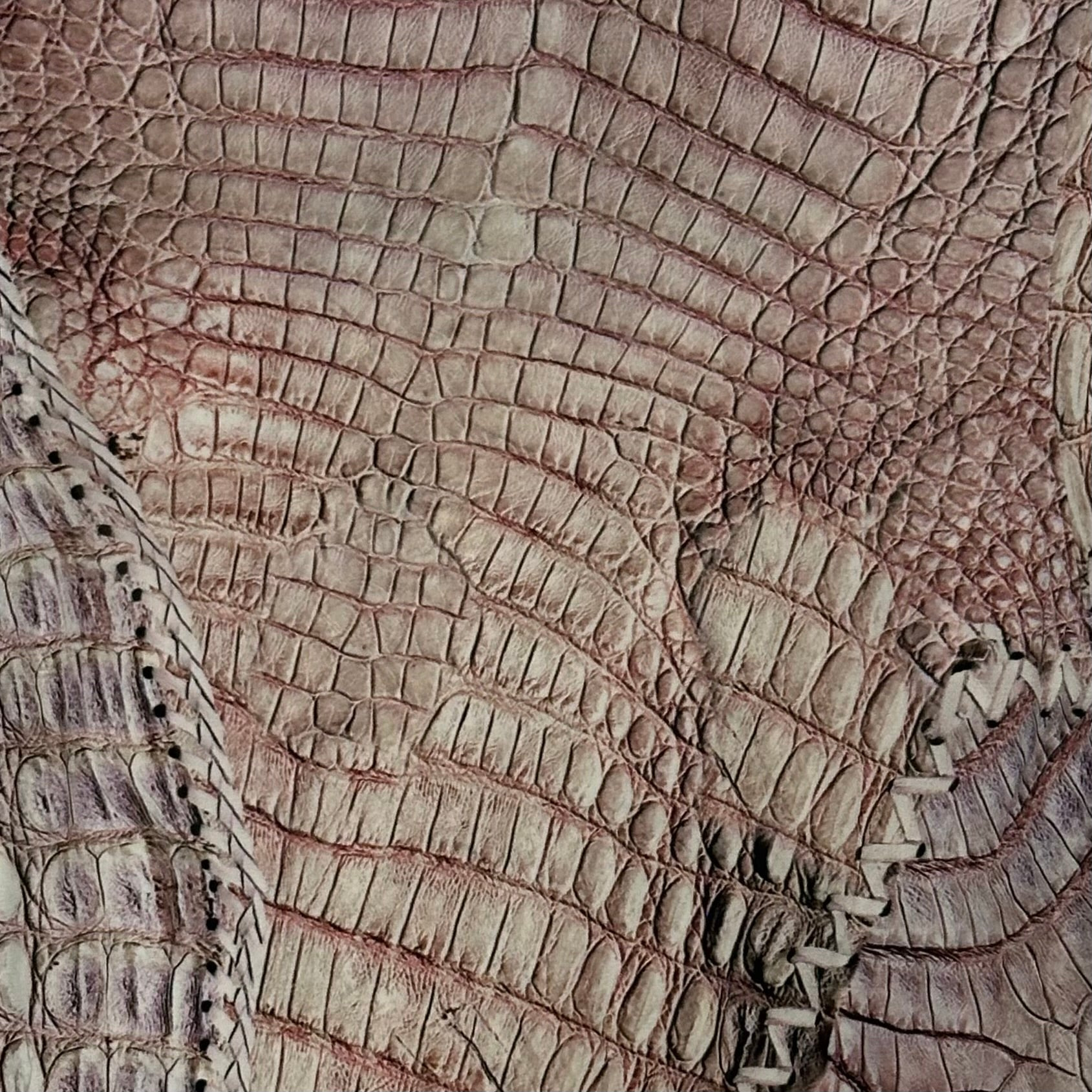 ROBERTO CAVALLI Spring Summer 2011 Crocodile Print Laced Up Dress - 4