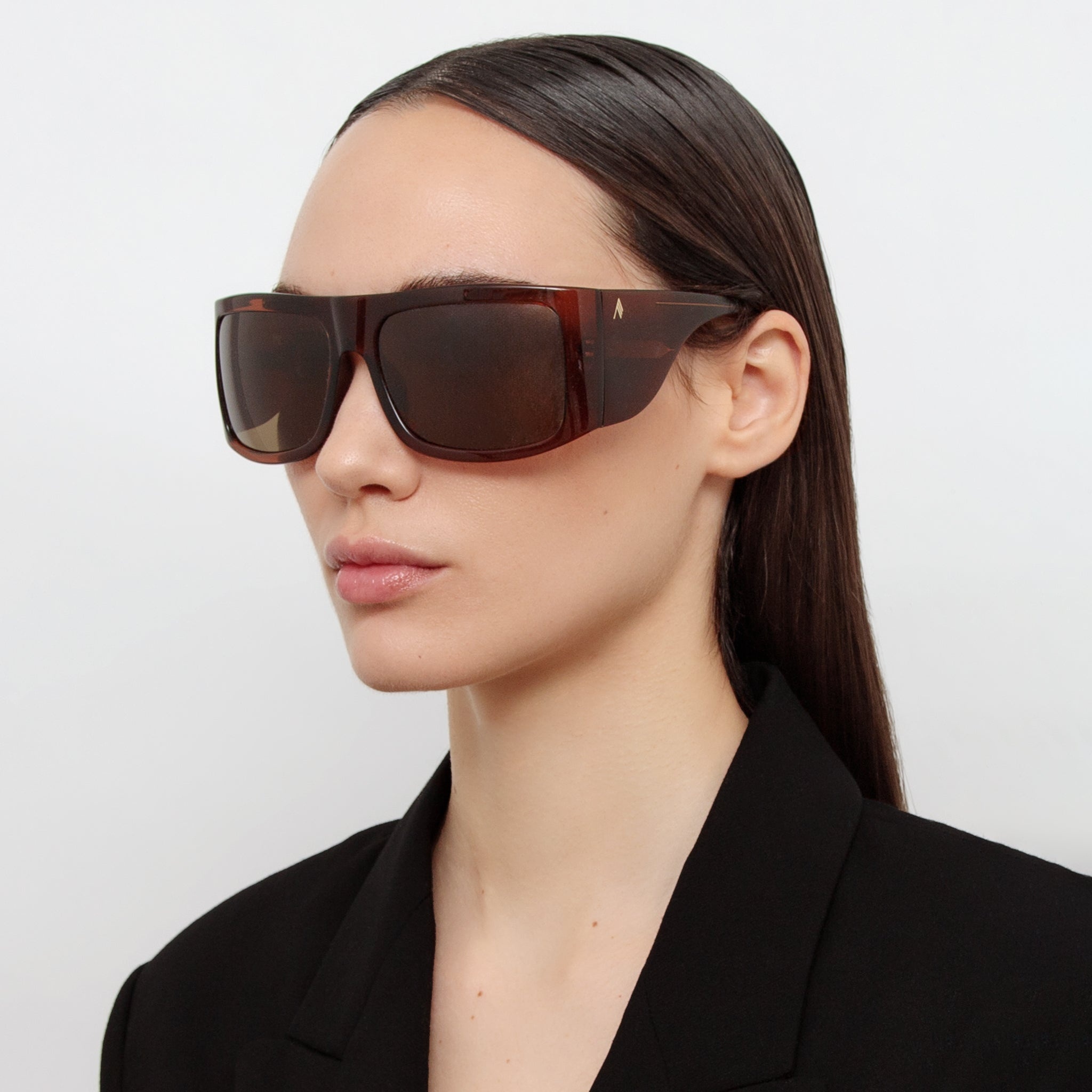 Andre Oversized Sunglasses in Brown - 2
