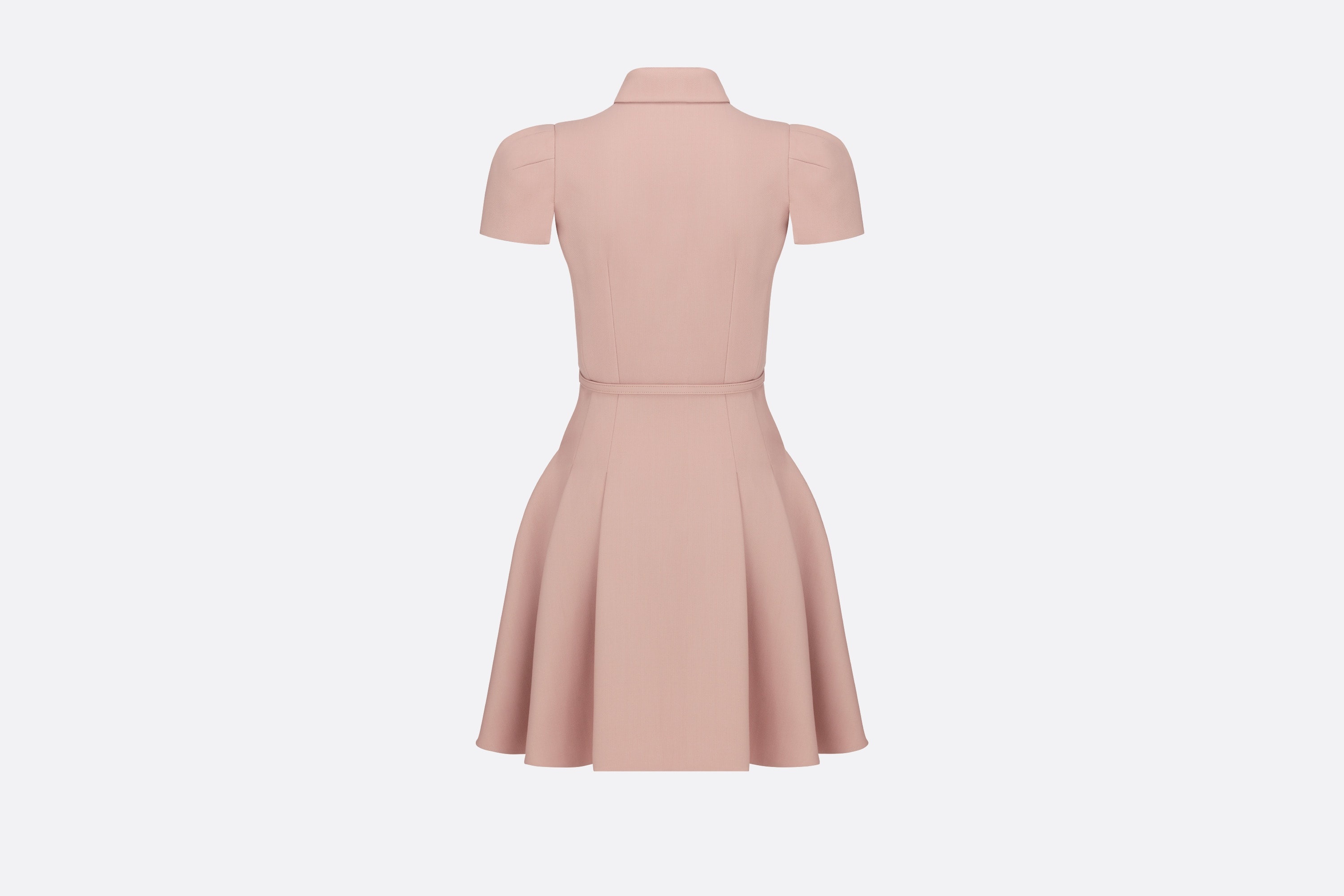 Flared Belted Dress - 2