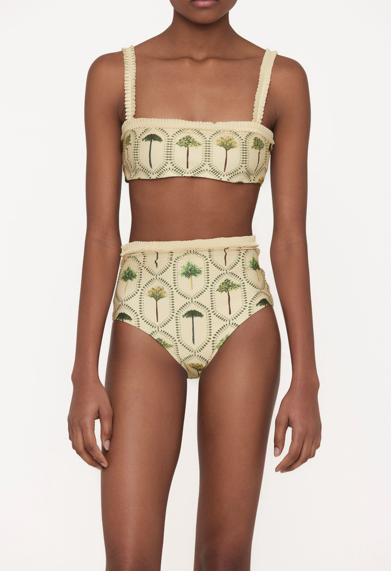 Nopal Arboleda Bikini Bottom 5