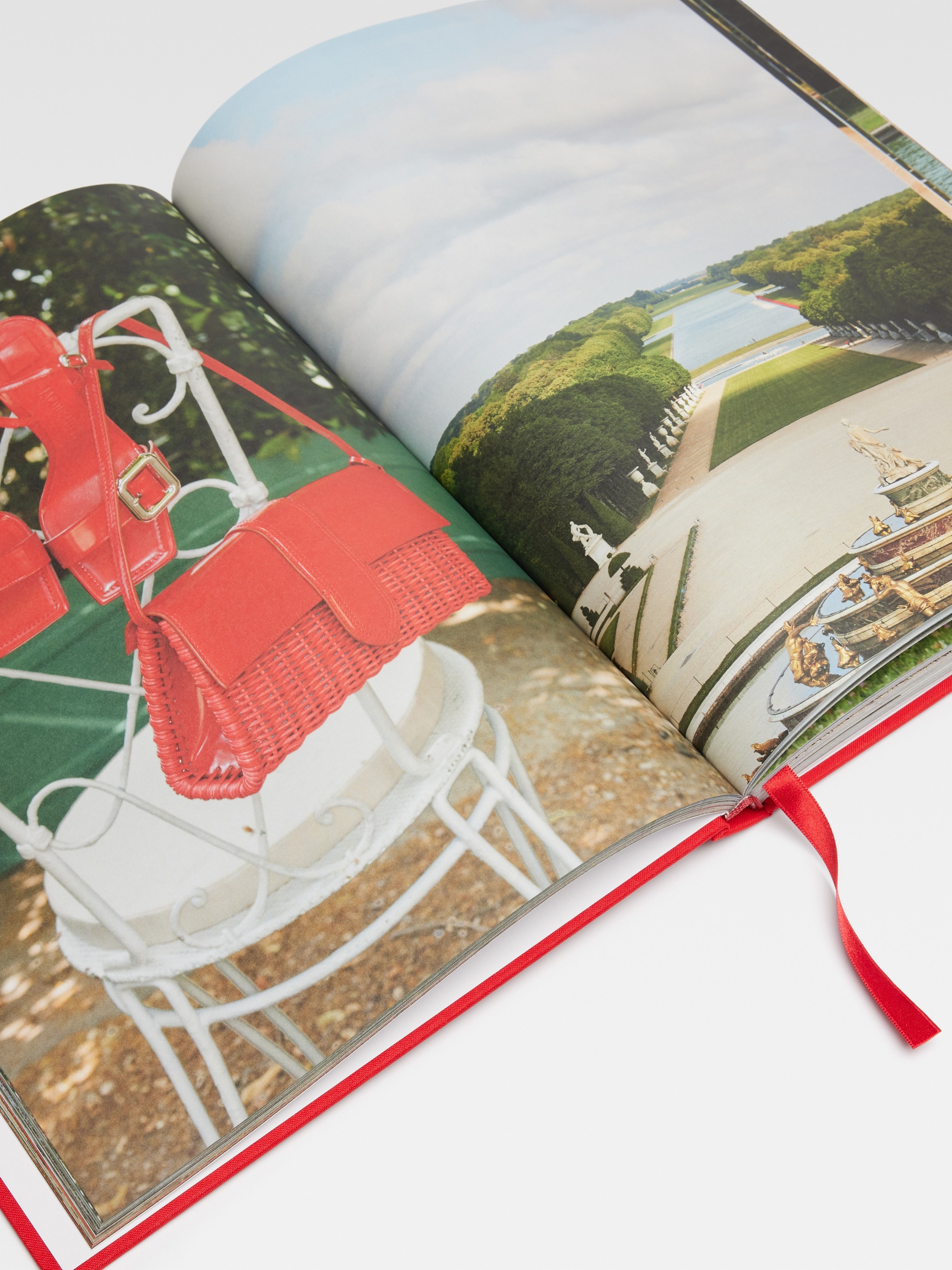 Le Chouchou - Martin Parr - 2