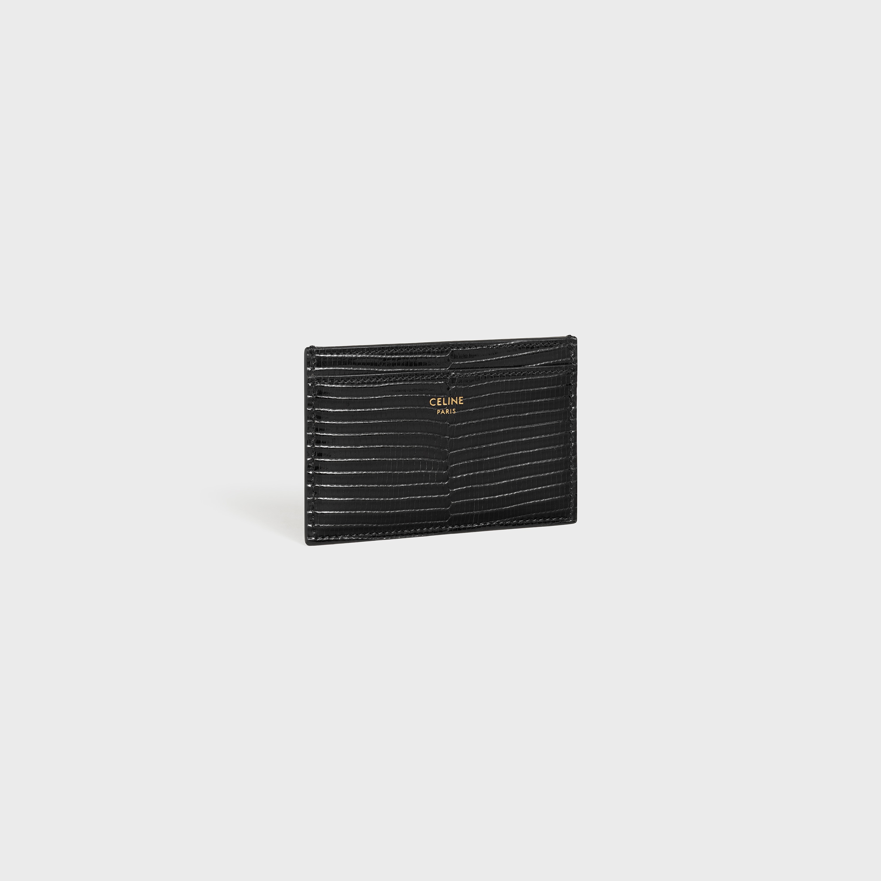 CARD HOLDER  IN  LIZARD - 2