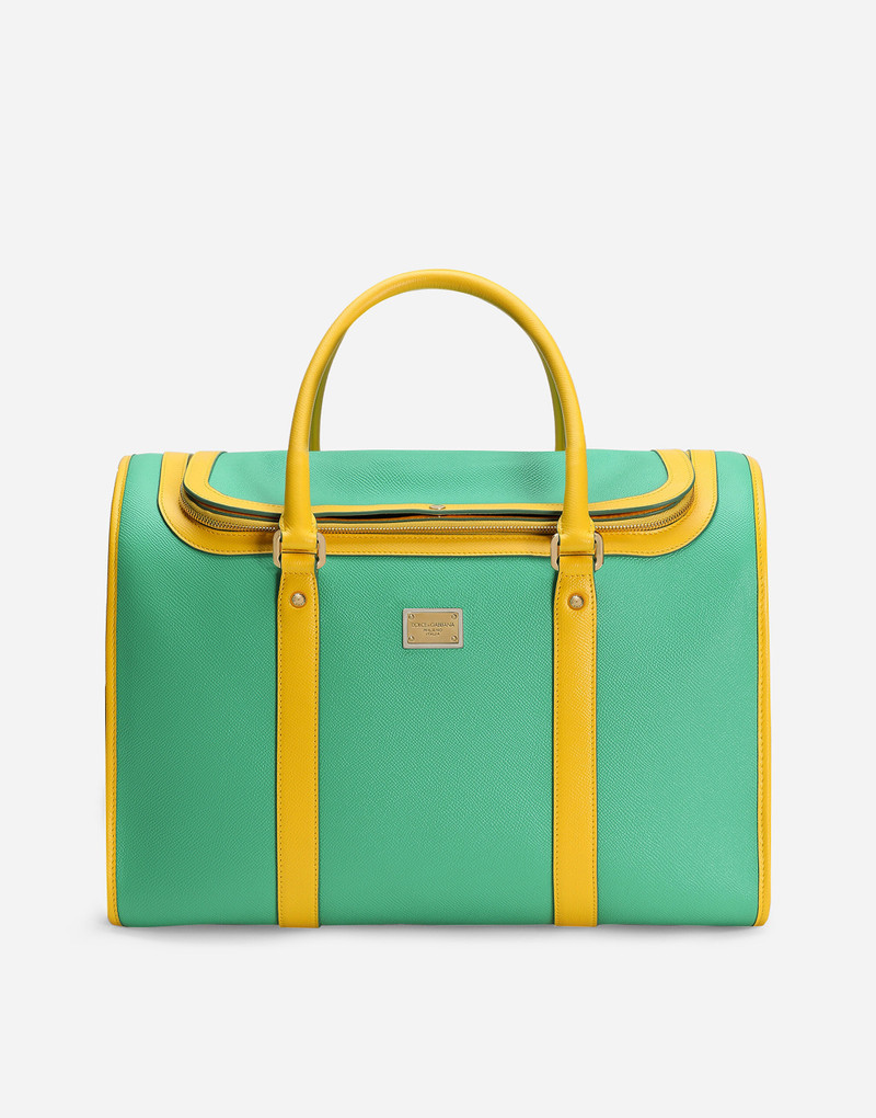 Dog carrier 1
