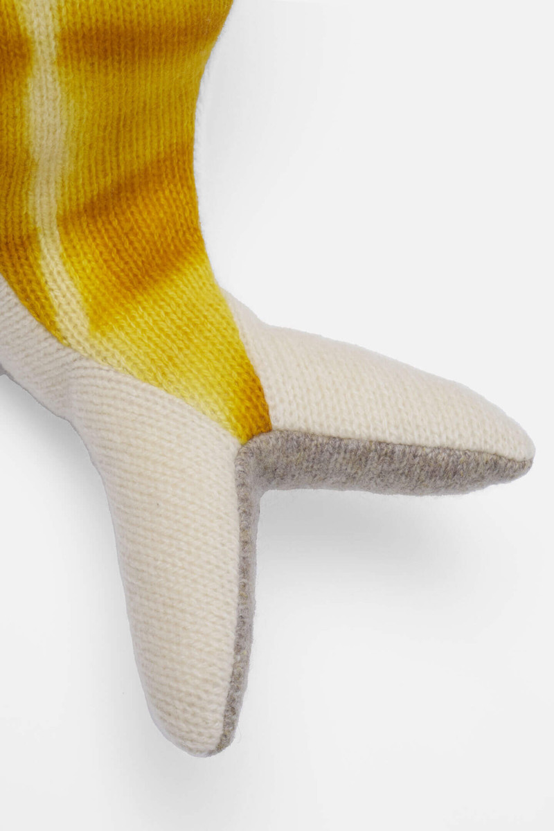 The Elder Statesman SMALL WHALE outlook