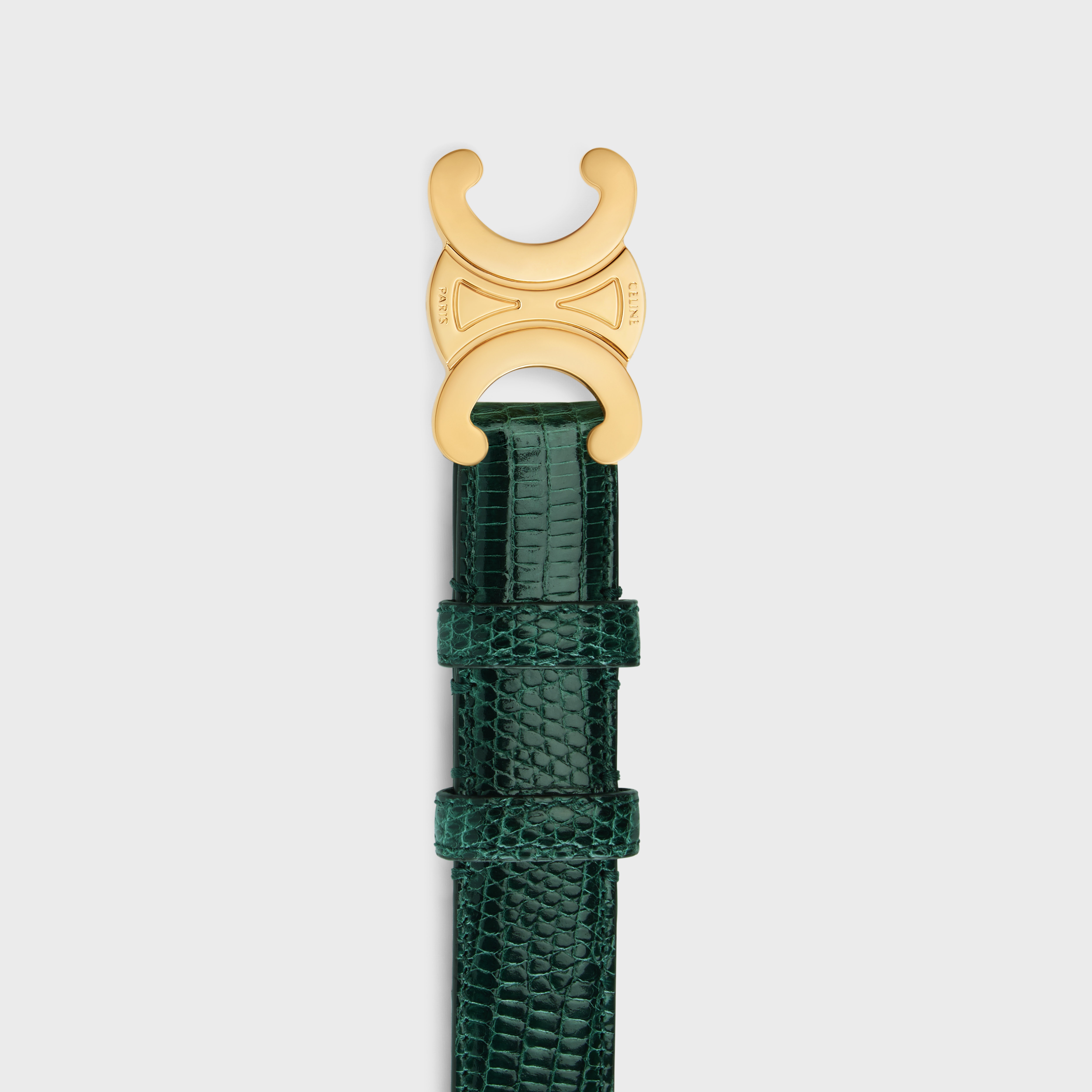 Medium Triomphe Belt in Lizard - 2