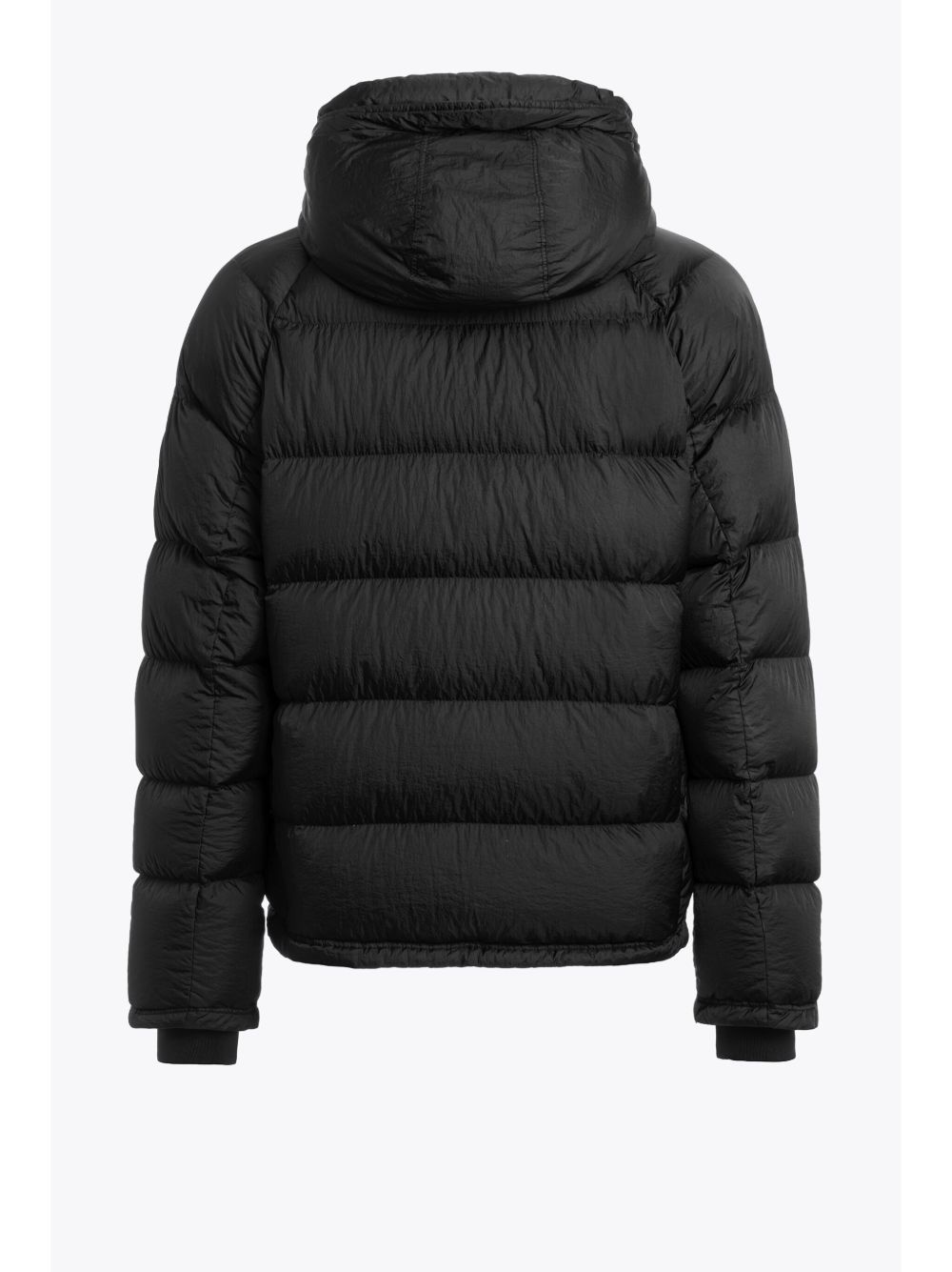 Norton jacket - 3