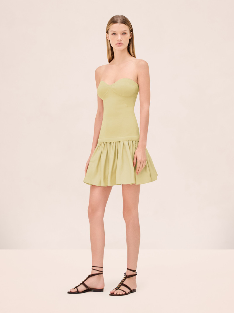 ALEXIS DASIA DRESS outlook