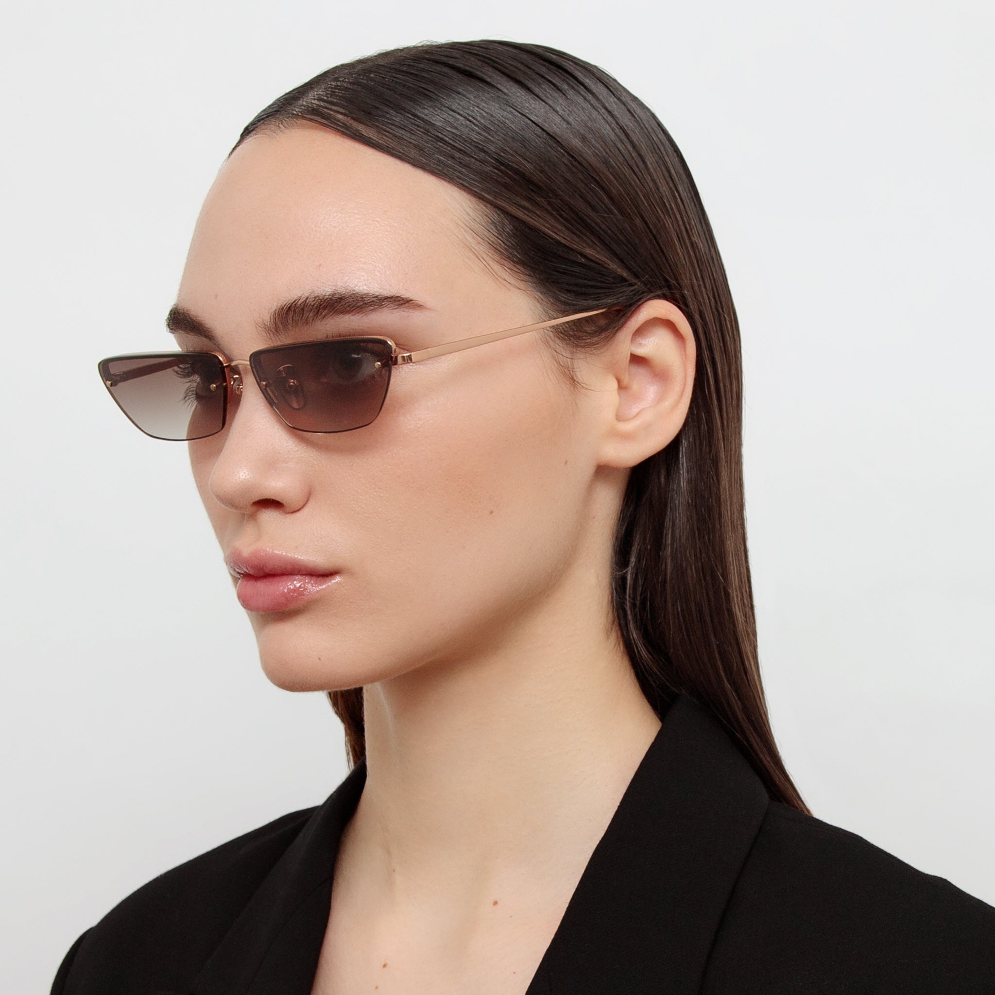 Cleo Cat Eye Sunglasses in Rose Gold - 2