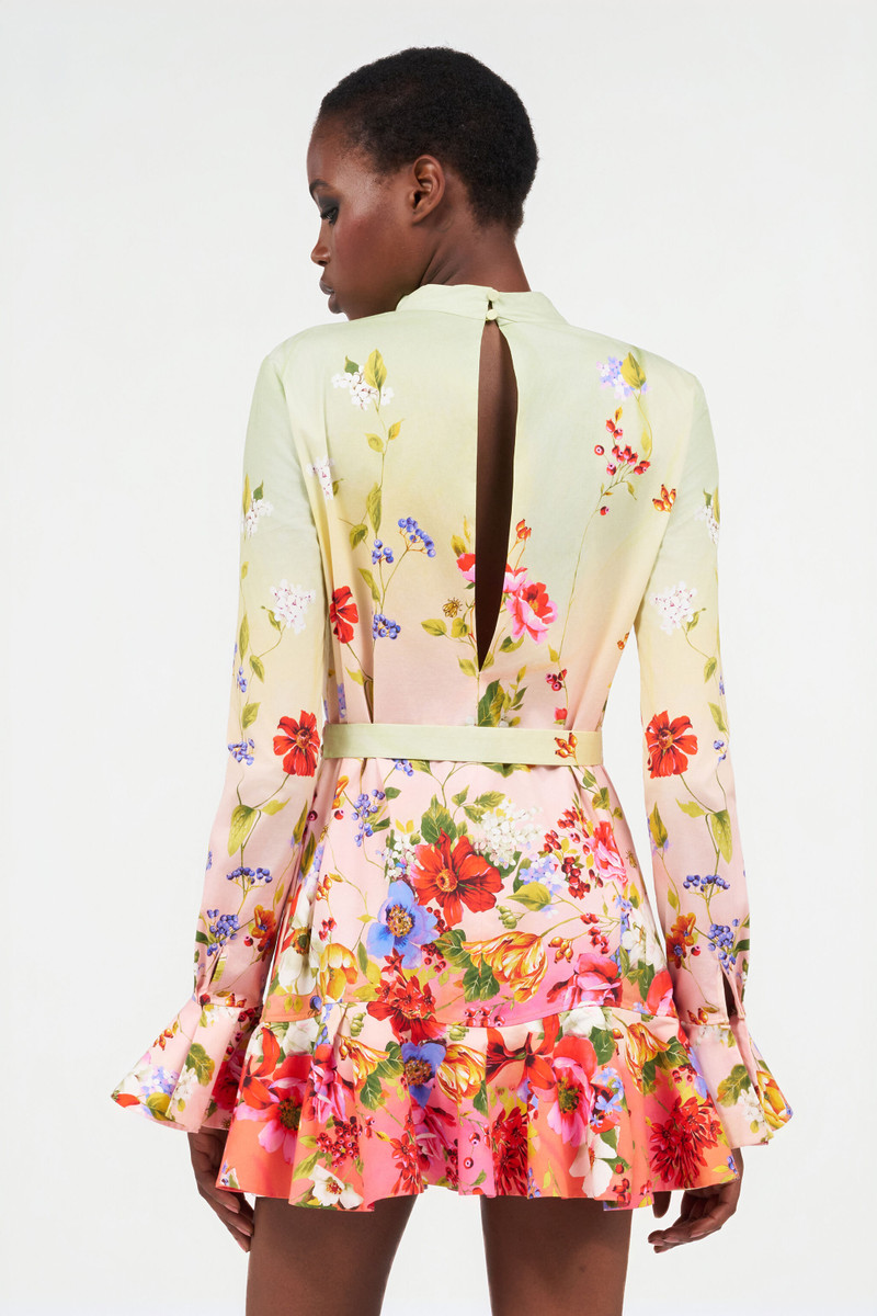 Miami Print Mini Dress 4