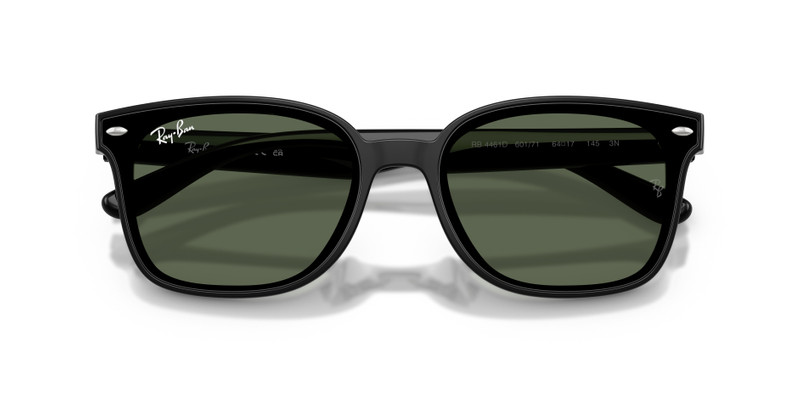 Ray-Ban RB4461D outlook