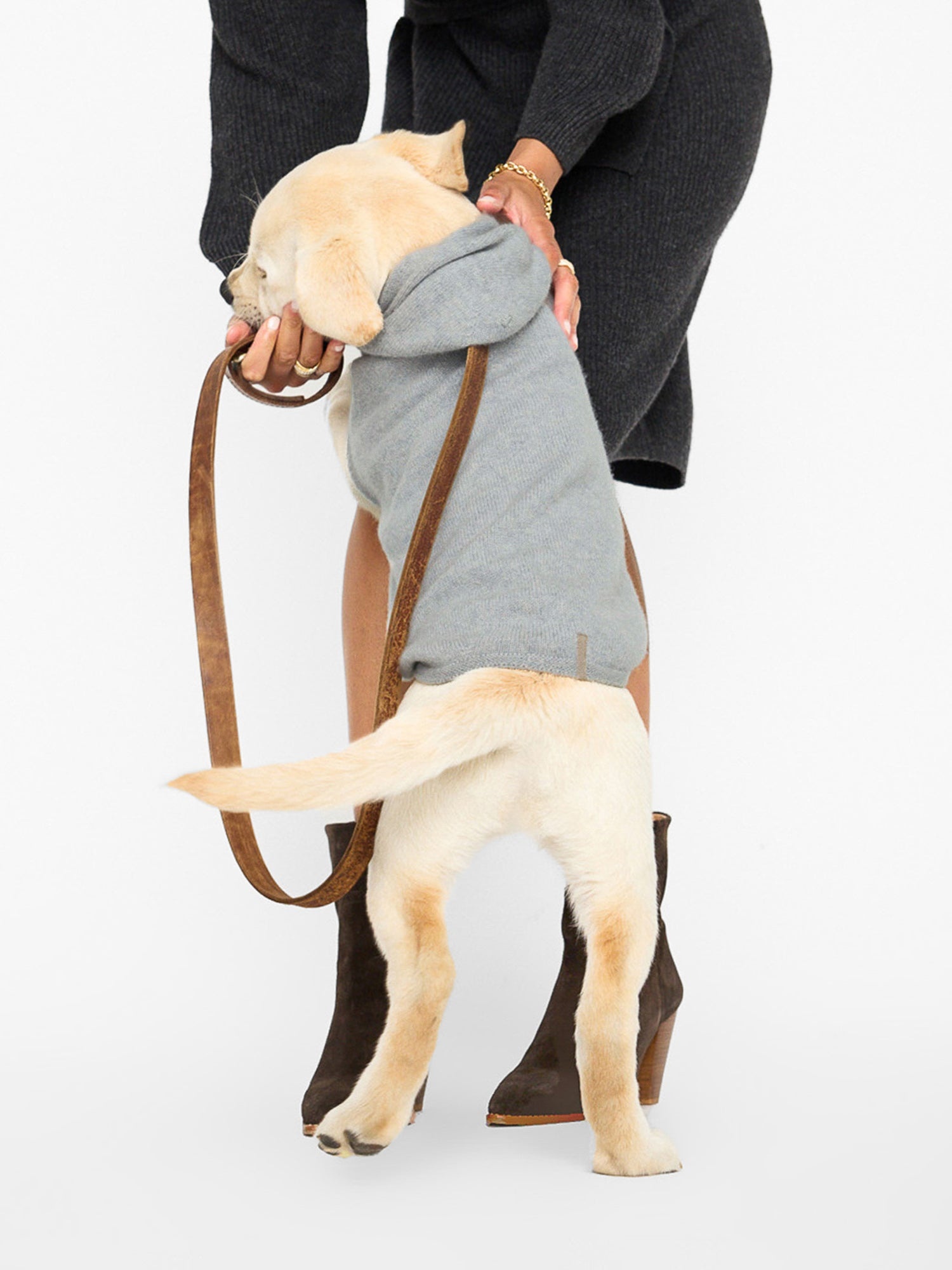 The Cashmere Dog Hoodie - 5