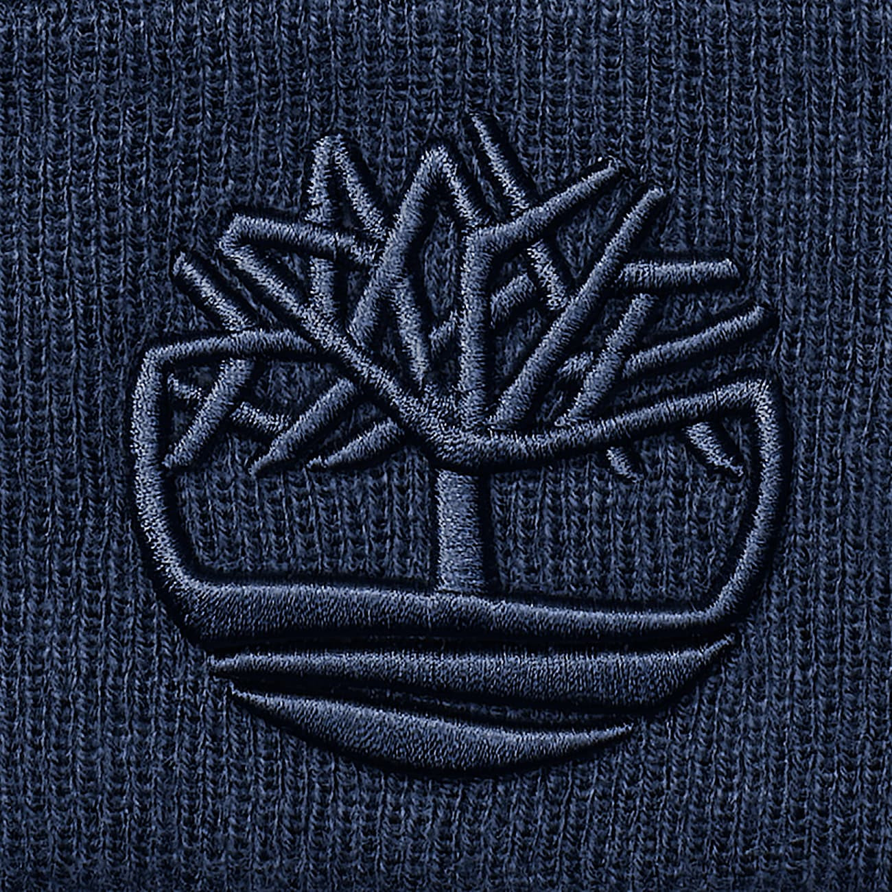 3D Embroidered Beanie - 3
