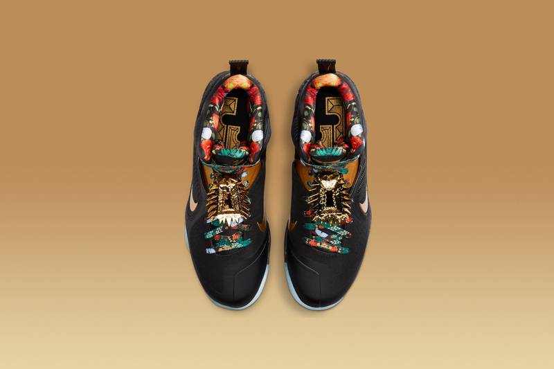 Nike NIKE LEBRON 9 outlook