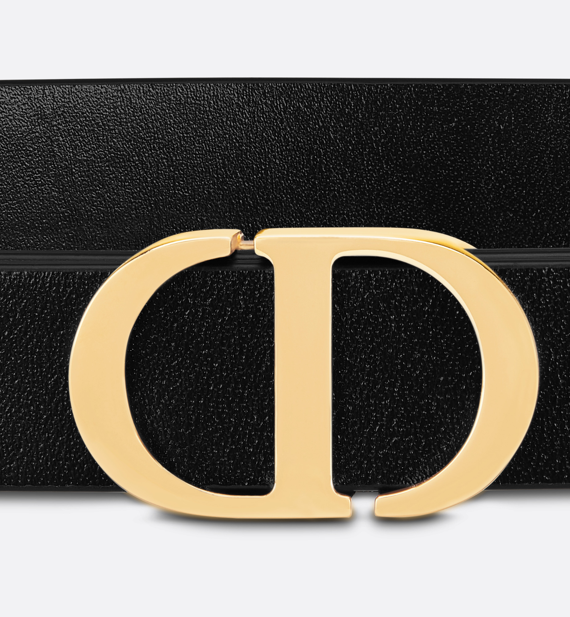 30 Montaigne Loop Belt - 5