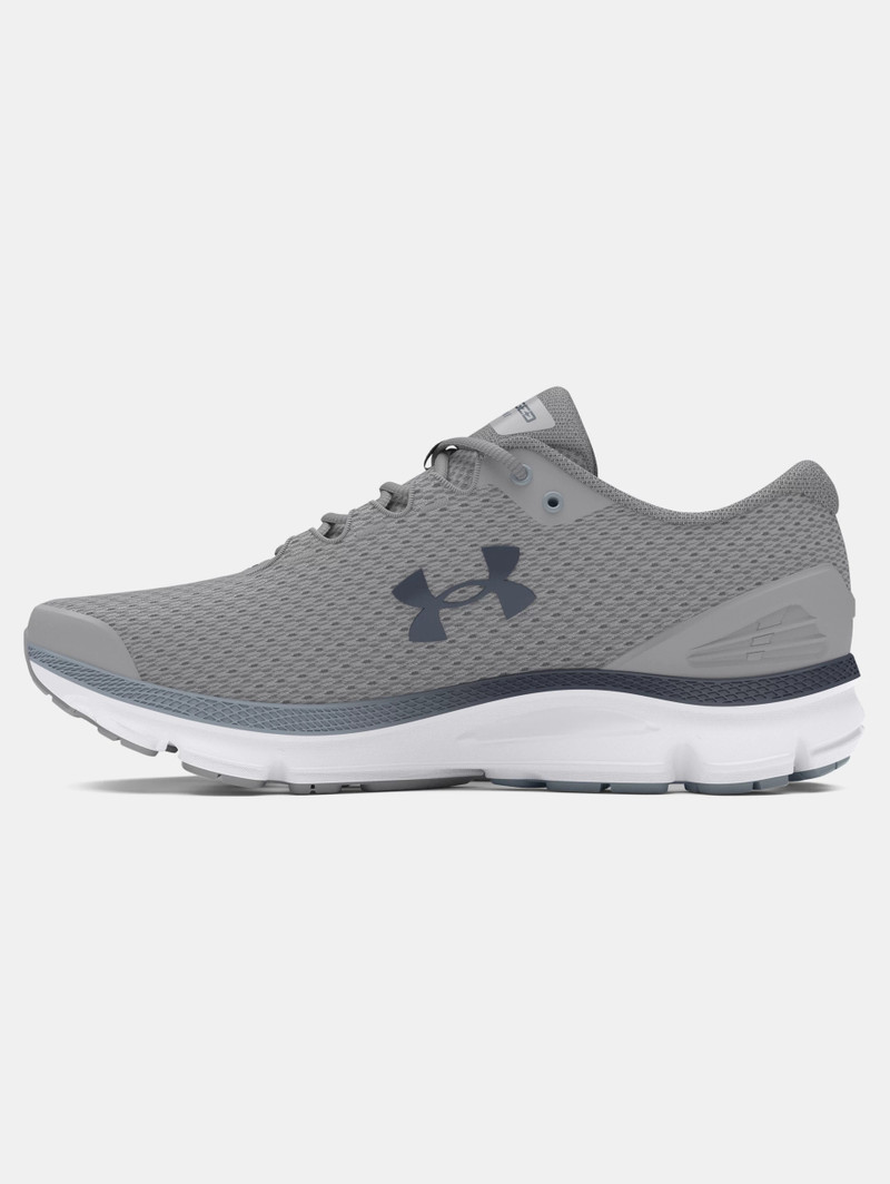 Under Armour UA Charged Gemini outlook