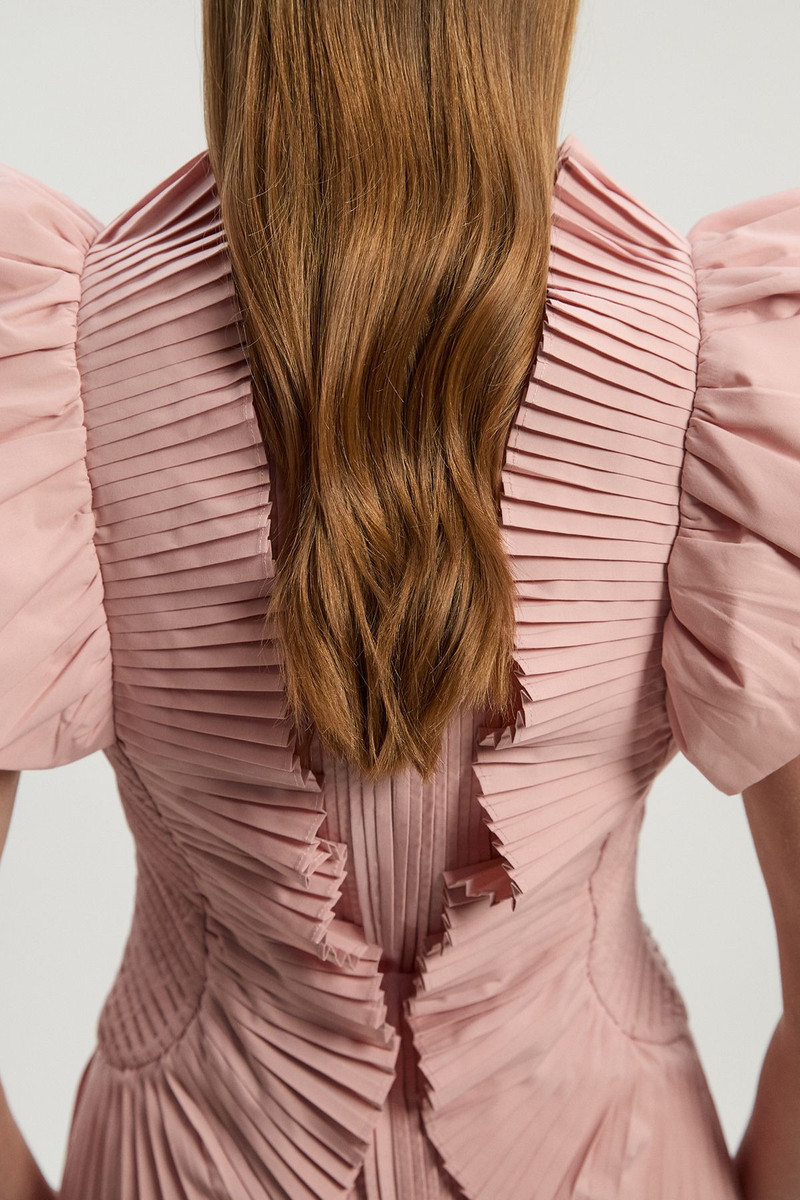 Pleated Ruffle Sleeve Woven Top 3