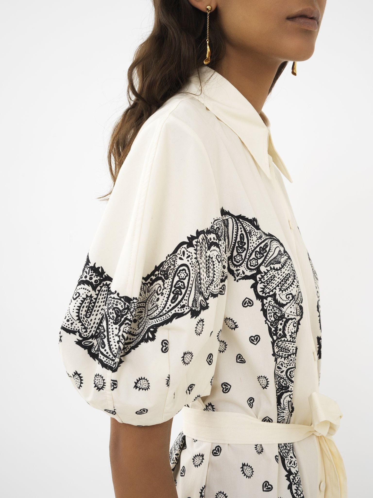 PRINTED BALLOON-SLEEVE SHIRT DRESS - 8