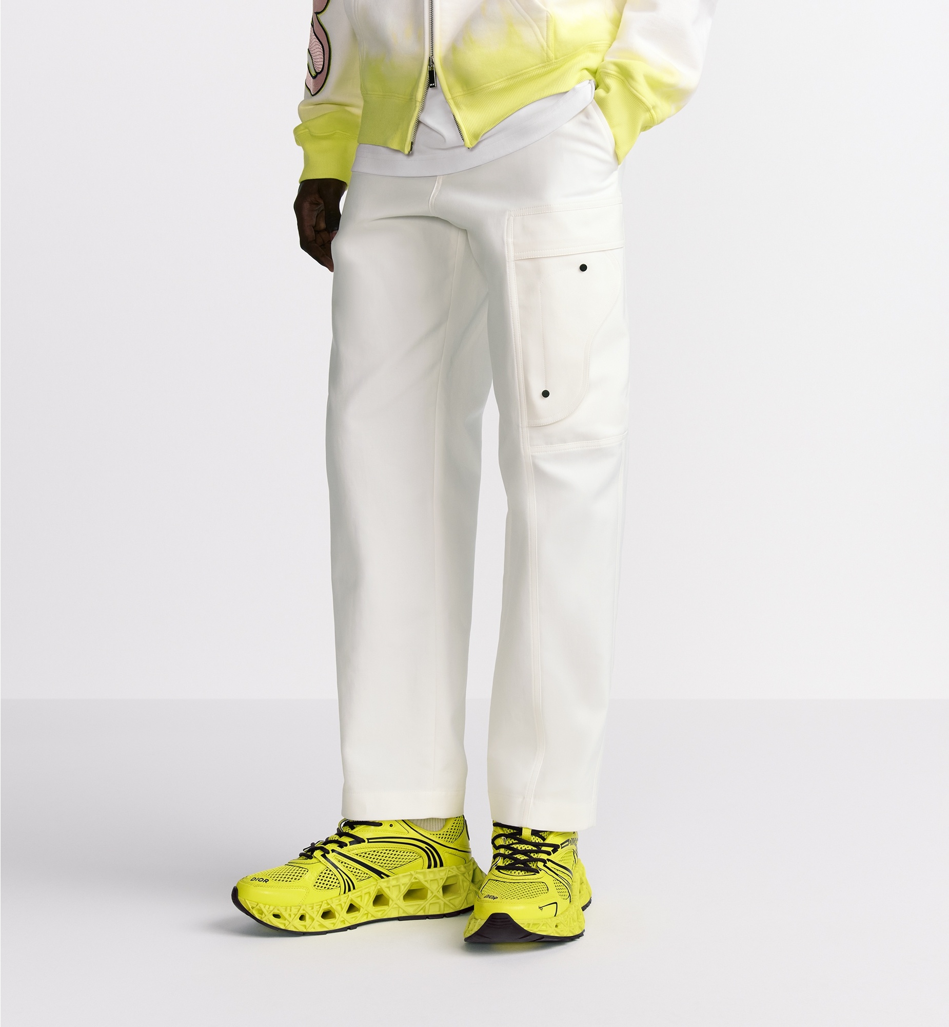 DIOR AND KAWS Cargo Pants - 2