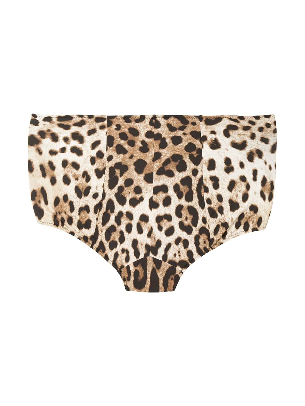 leopard print high-waisted bikini bottoms - 2