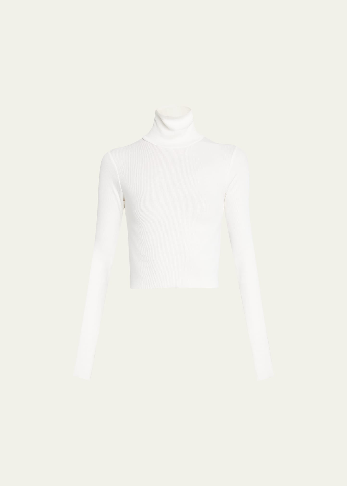 Cropped Fitted Turtleneck Top - 1