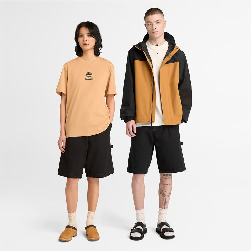Washed Duck Canvas Carpenter Short 4