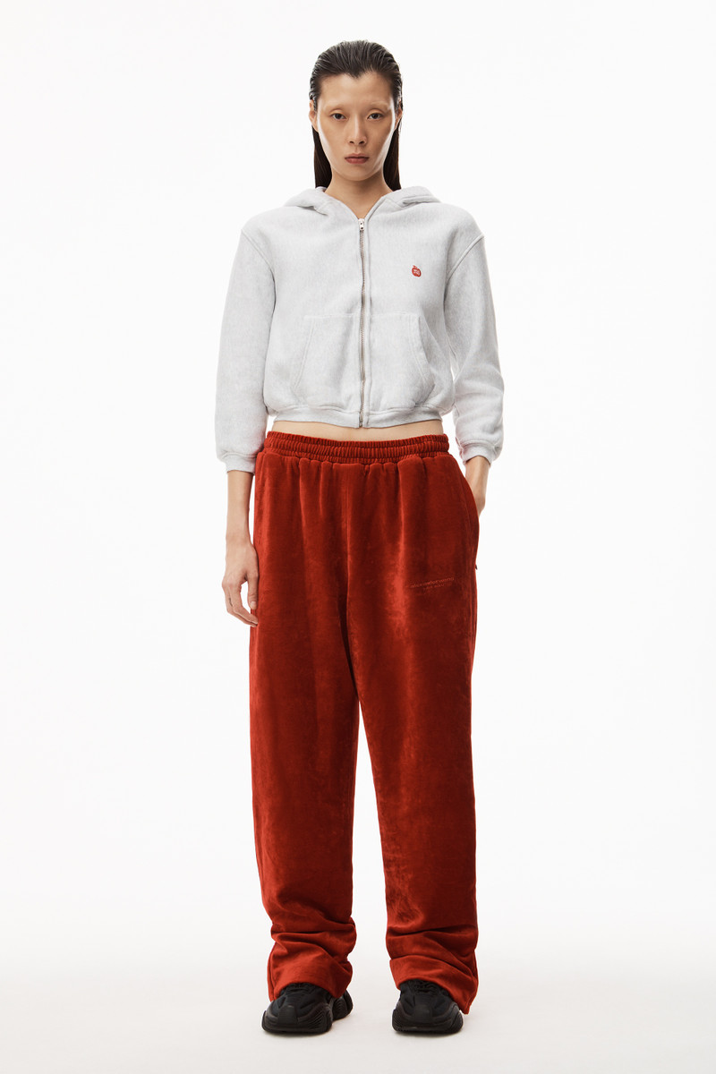 Alexander Wang APPLE LOGO SHRUNKEN HOODIE IN TERRY outlook